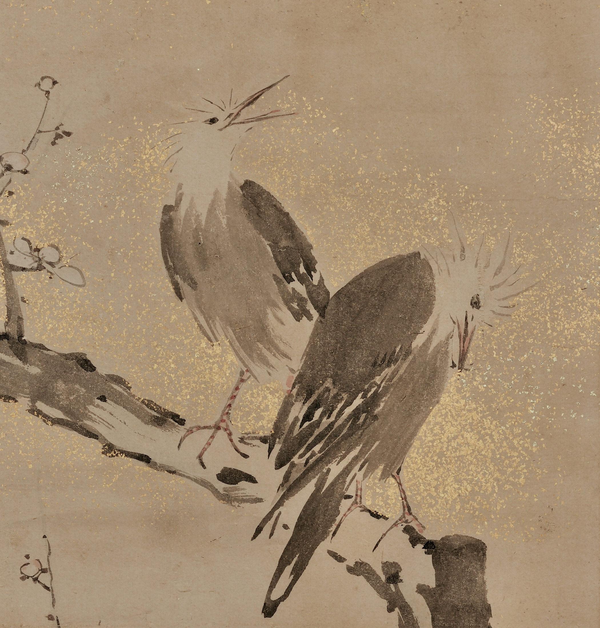 yamaguchi bird