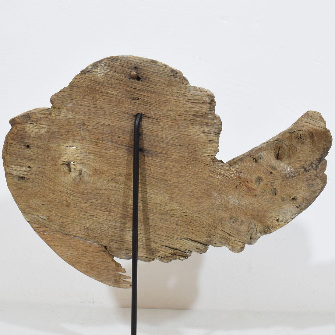 Testa d'angelo in quercia intagliata del 17/18° secolo in stile barocco francese con le ali in vendita 6