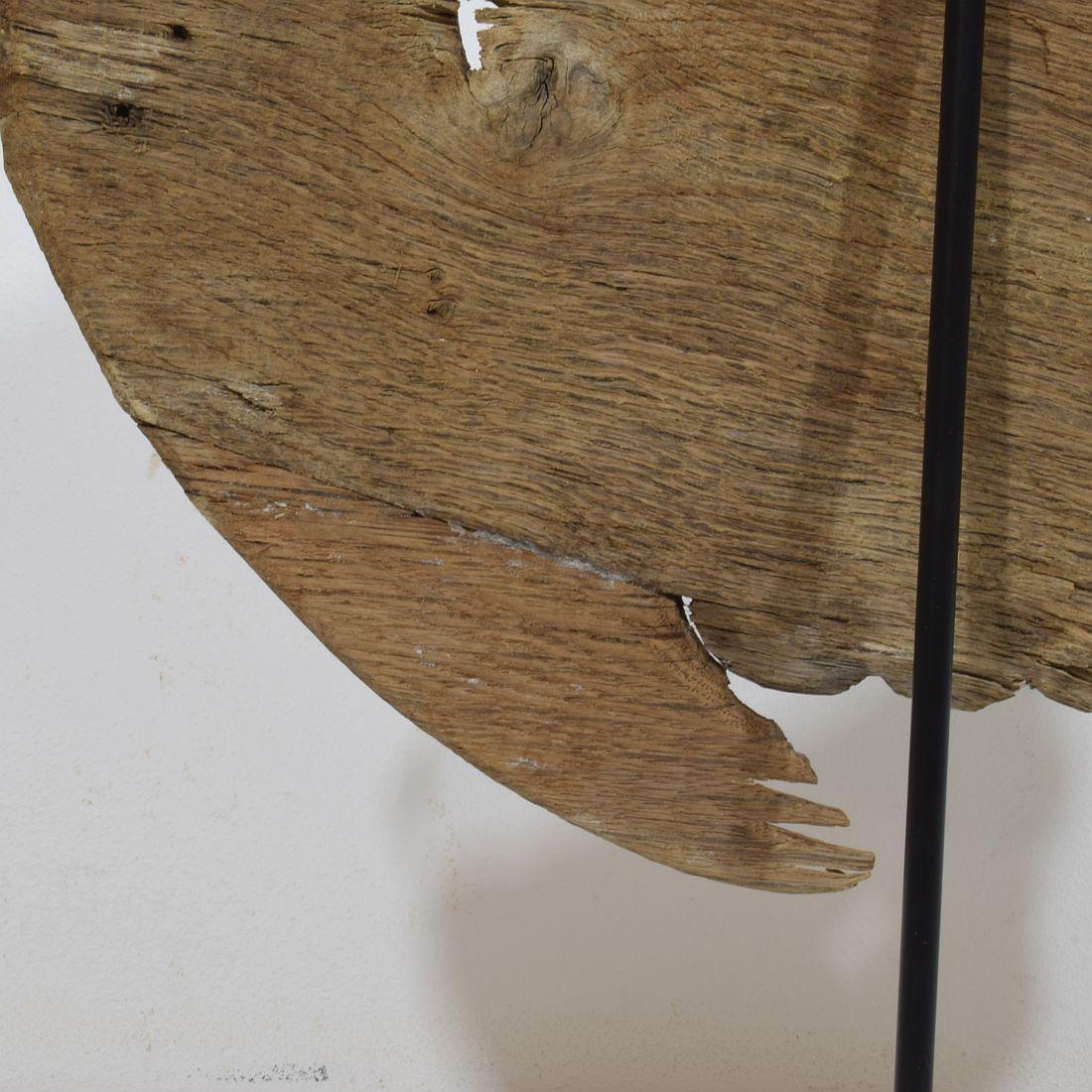 Testa d'angelo in quercia intagliata del 17/18° secolo in stile barocco francese con le ali in vendita 7