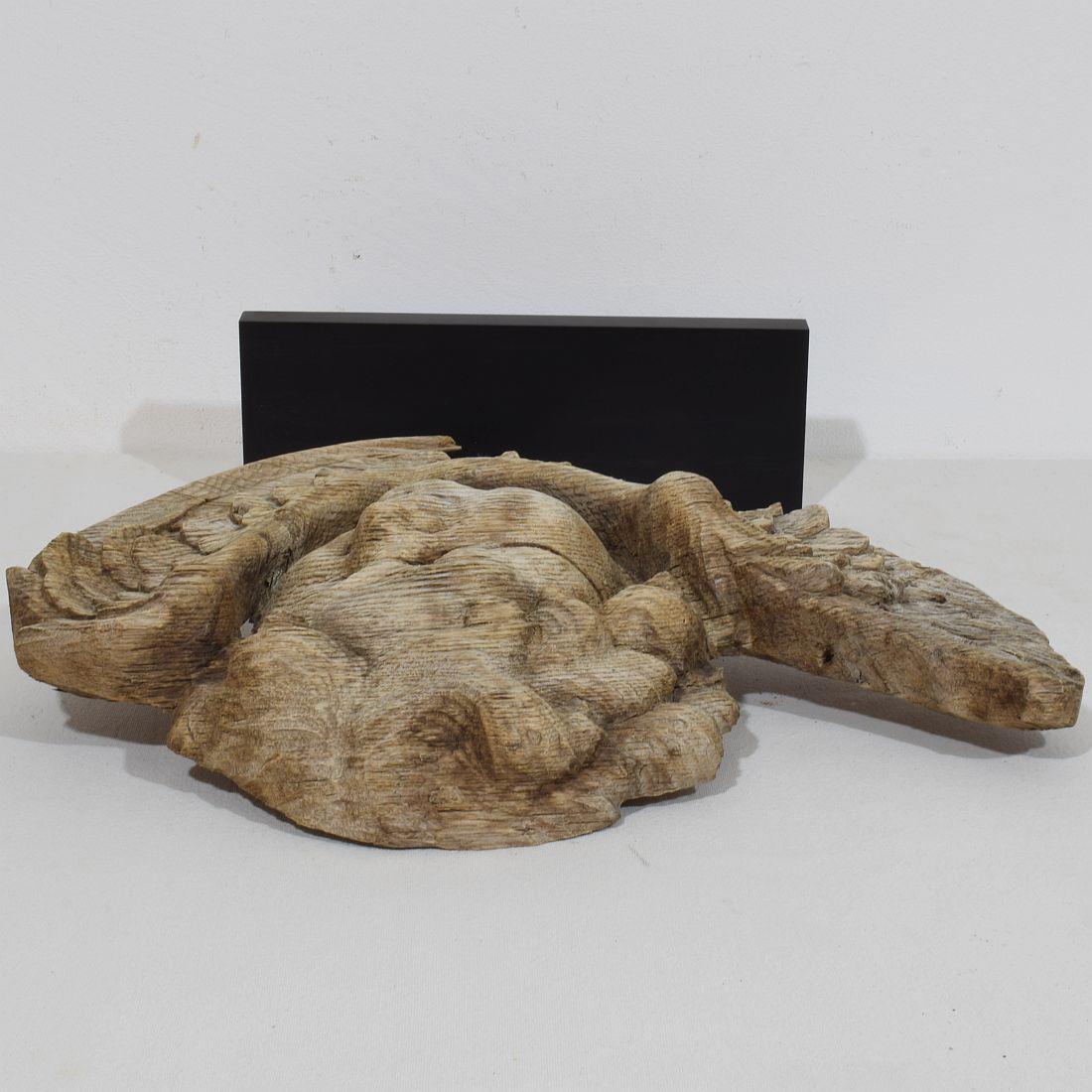 Testa d'angelo in quercia intagliata del 17/18° secolo in stile barocco francese con le ali in vendita 8