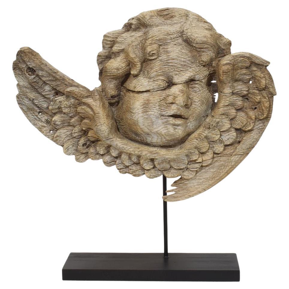 17/18th Century French Baroque Carved Oak Angel Head on Wings
