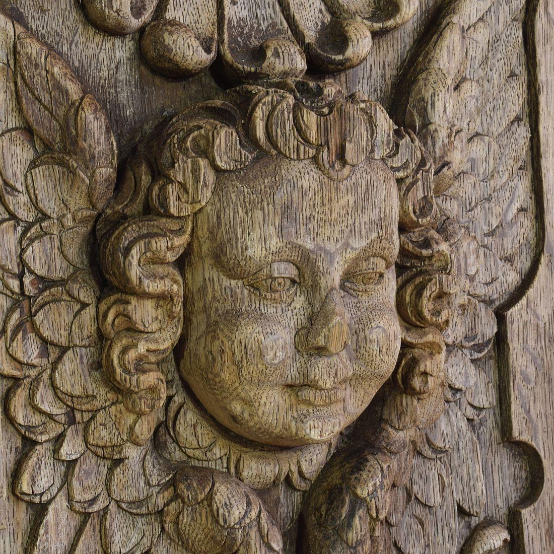 17/18th Century French Carved Oak Panel with Winged Angel Head 5