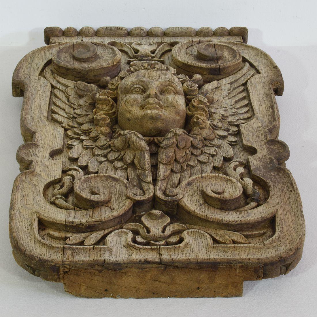 17/18th Century French Carved Oak Panel with Winged Angel Head 7