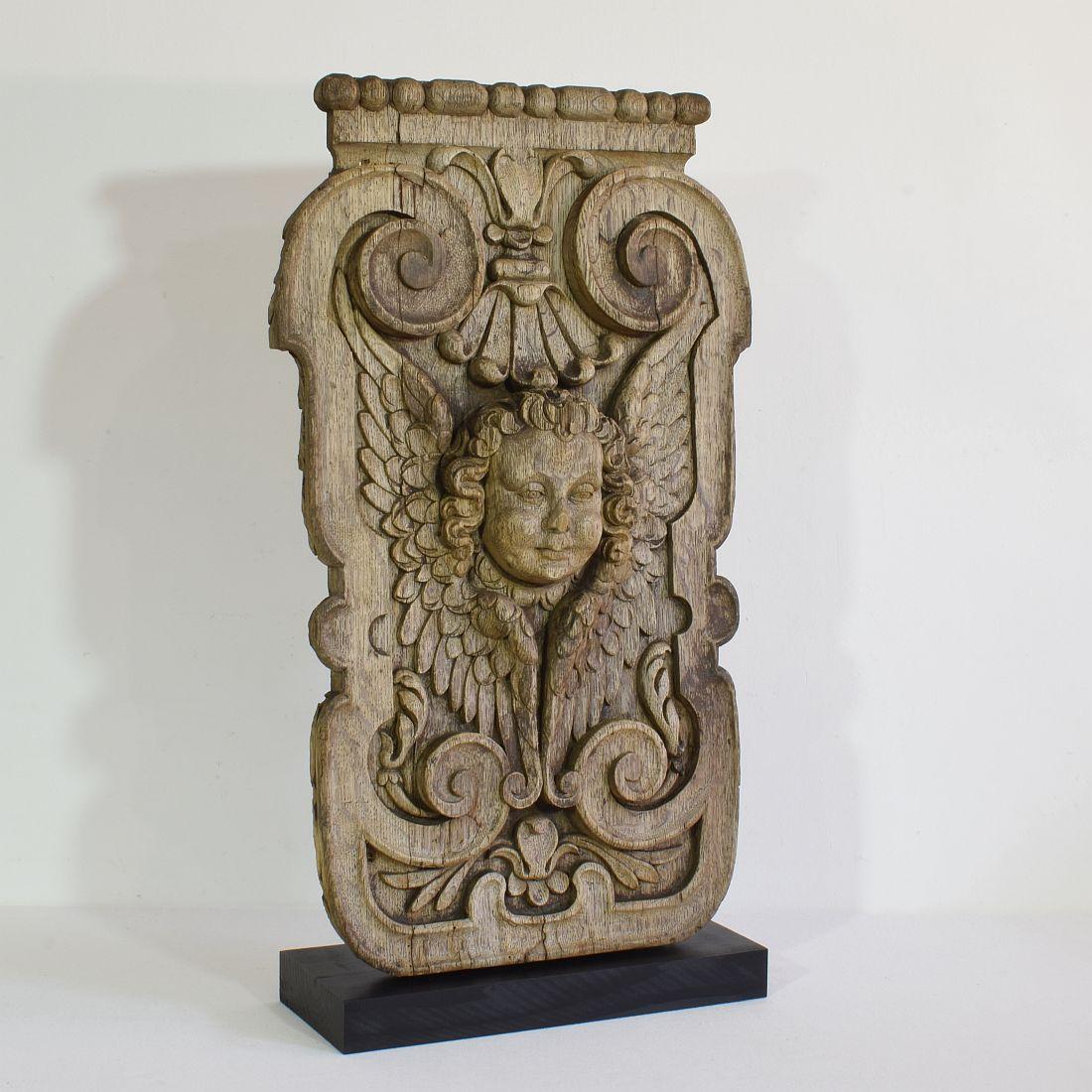 Beautiful weathered oak panel with a winged angel head.

France, circa 1650-1750, weathered small losses.