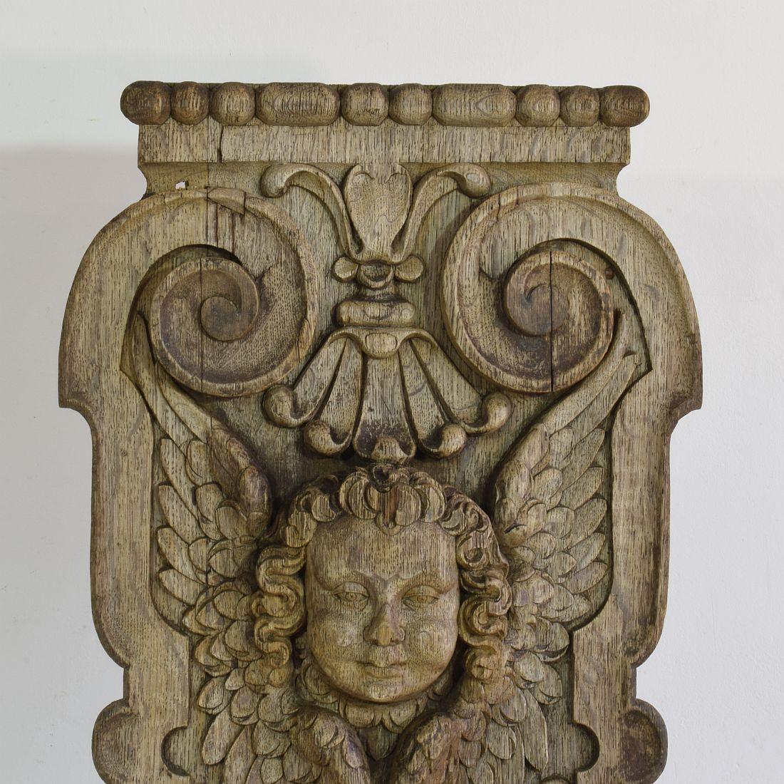 17/18th Century French Carved Oak Panel with Winged Angel Head 1