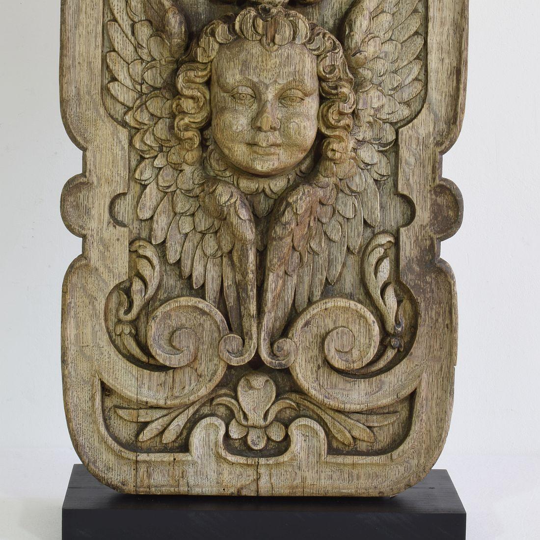 17/18th Century French Carved Oak Panel with Winged Angel Head 2