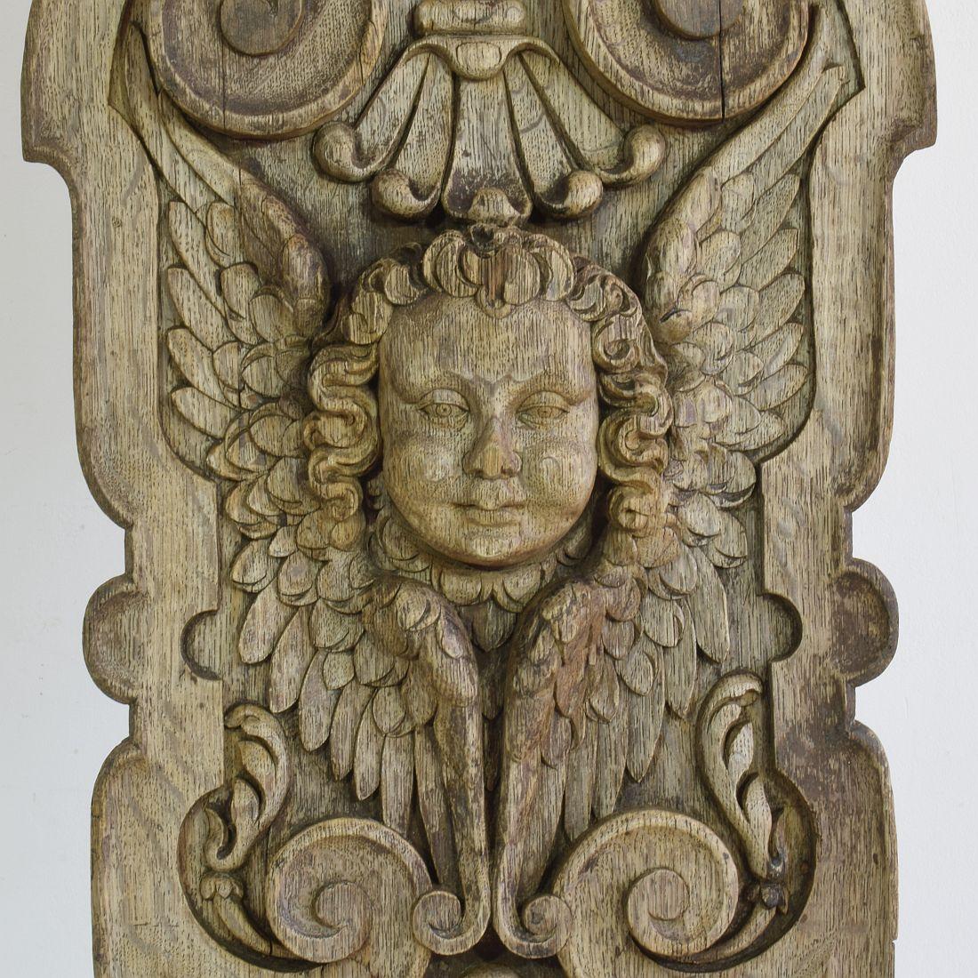 17/18th Century French Carved Oak Panel with Winged Angel Head 3