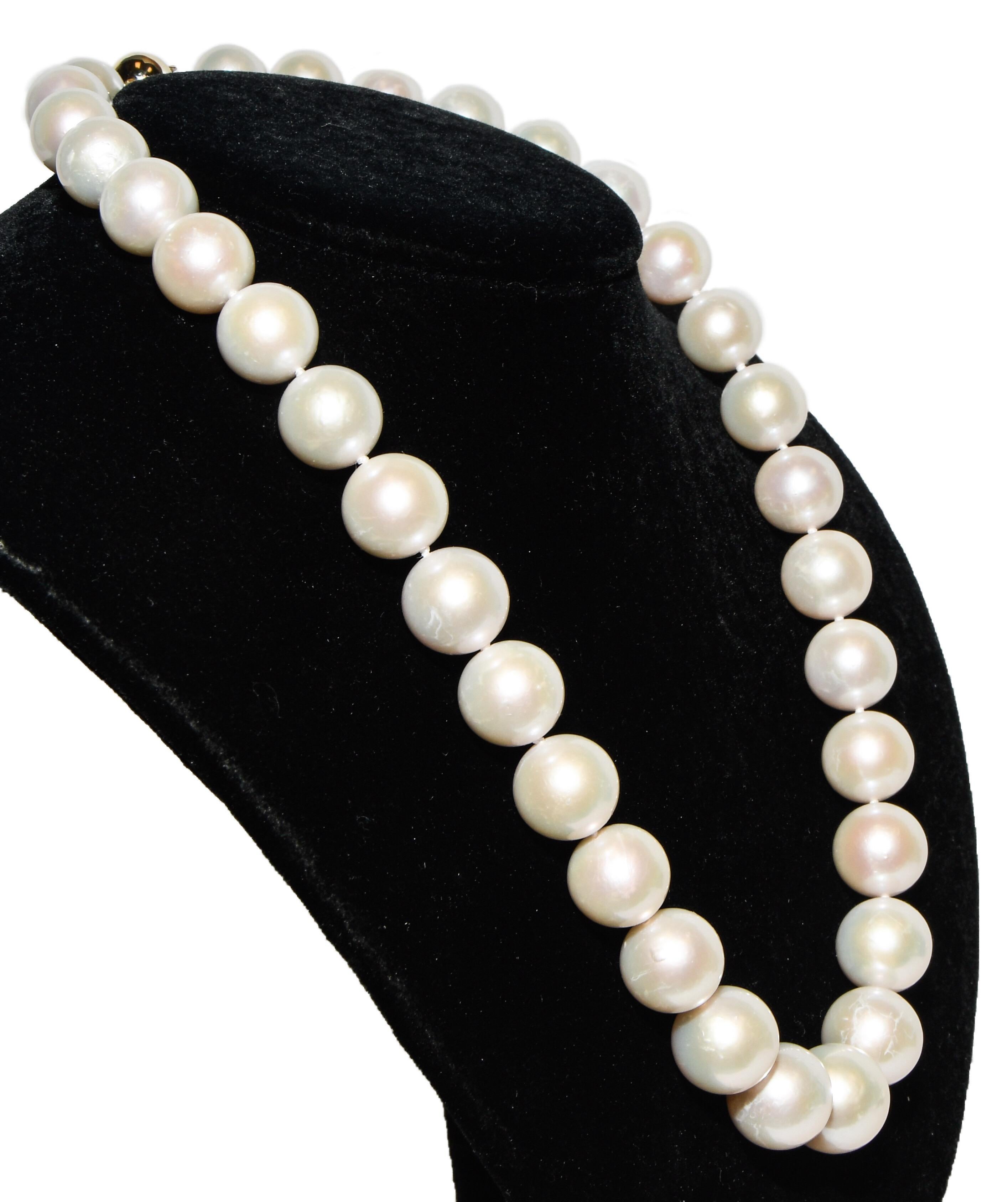 South Sea Cultured Pearl Necklace 14 Karat Bead Clasp and Pearl Studs In New Condition For Sale In Palm Beach, FL