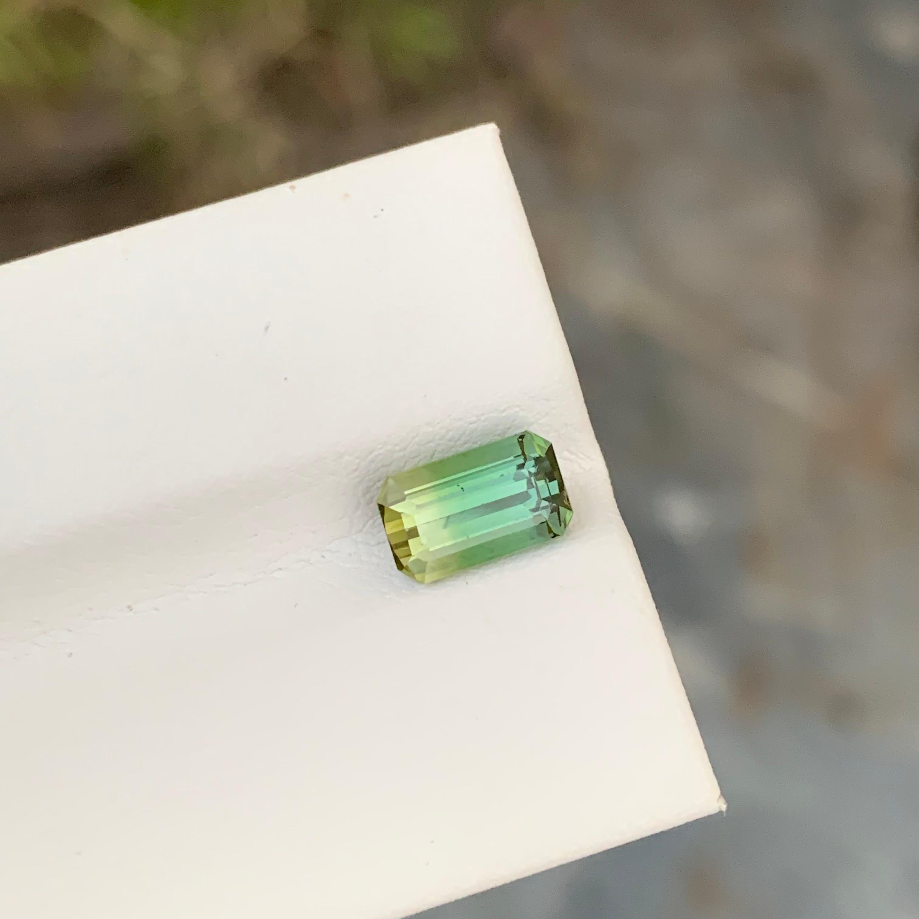 Loser zweifarbiger Turmalin

Gewicht: 1,70 Karat
Abmessung: 8.6 x 5.2 x 4.4 Mm
Farbe: Grün und Gelb 
Herkunft: Afrika 
Zertifikat: Auf Anfrage
Behandlung: Nicht

Der Turmalin ist ein faszinierender Edelstein, der für seine bemerkenswerte