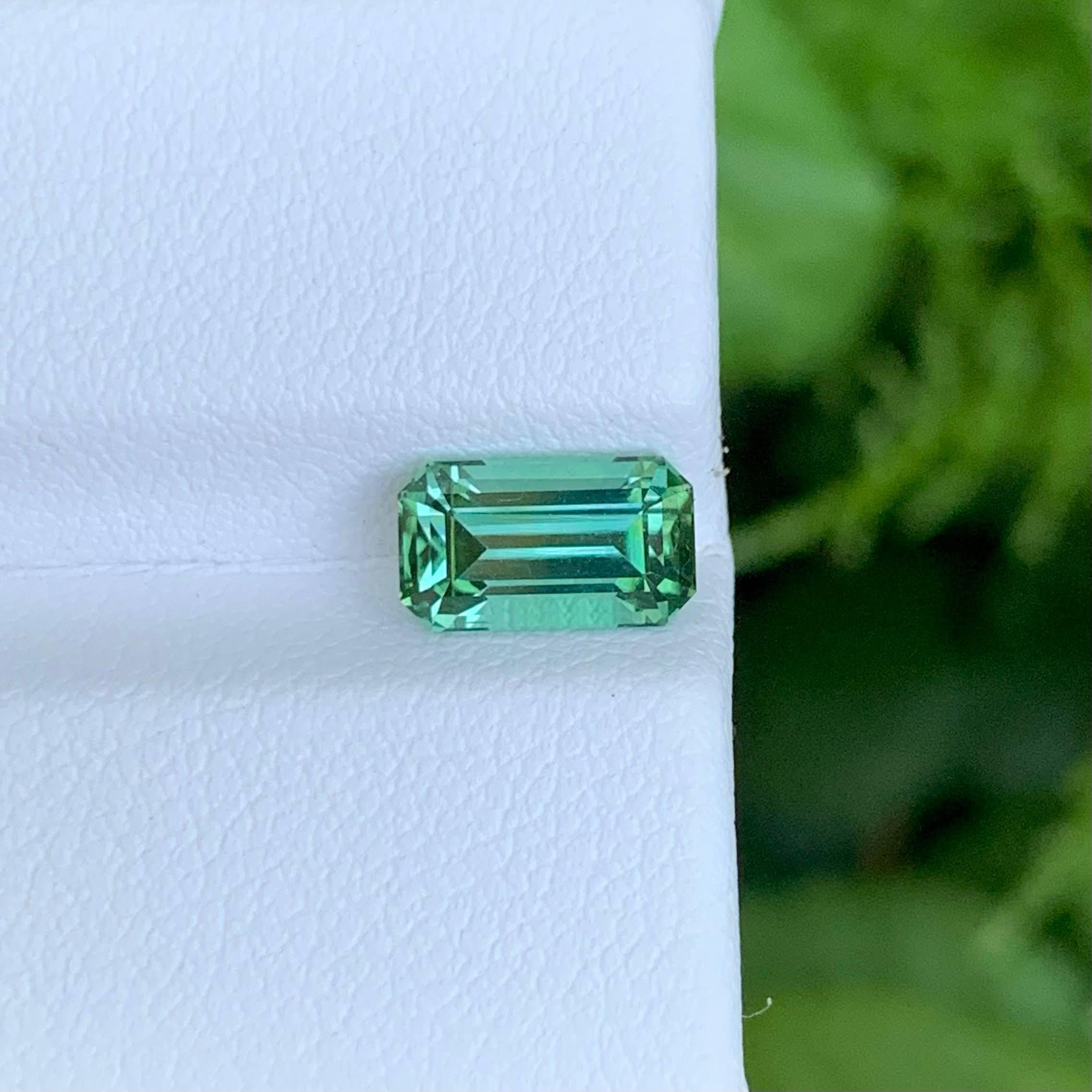 Poids 1,70 carat 
Dimensions 8,8x5,0x4,6mm
Traitement Aucun 
Origine afghane 
Clarity Eye Clean 
Forme Coupe Émeraude 




Cette tourmaline verte claire naturelle en vrac de 1,70 carat est une charmante pierre précieuse provenant des riches