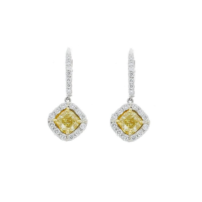 1.70 total carats of natural fancy yellow, cushion-cut, diamonds terminate the drops in a rich yellow gold prong setting. 0.56 carats of scintillating round brilliant cut white diamonds frame each natural fancy yellow diamond as well as the tops of