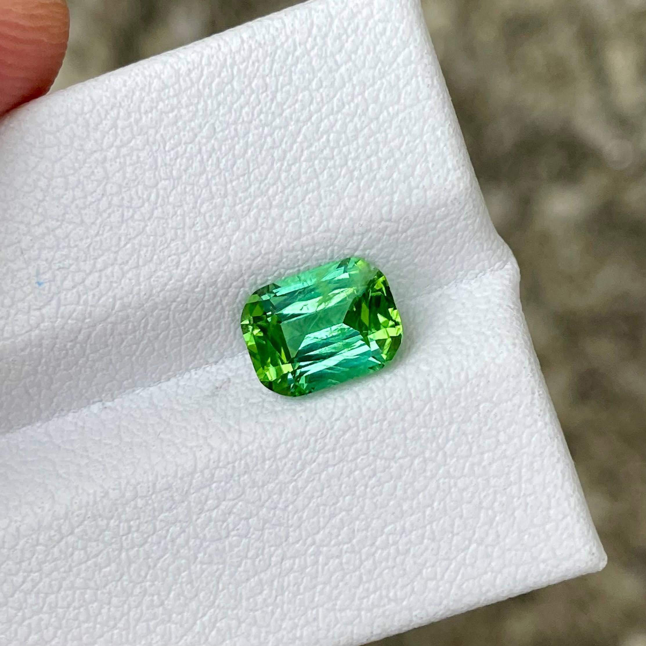 Poids 1,71 carats
Dimensions 8.1x6.1x4.5 mm
Clarity SI
Origine Afghanistan
Traitement Aucun
Coussin de forme
Coussin de marche coupé



La tourmaline vert menthe de 1.71 carat, méticuleusement taillée en forme de coussin, est un exemple frappant du