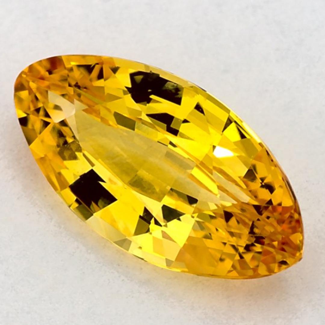 Dieser natürliche gelbe Saphir bietet Eleganz und Raffinesse. Mit seiner satten Farbsättigung und seinem präzisen Schliff ist er der perfekte Mittelpunkt für einen Verlobungsring oder ein luxuriöses Schmuckdesign.

Dieser Saphir stammt aus Sri Lanka