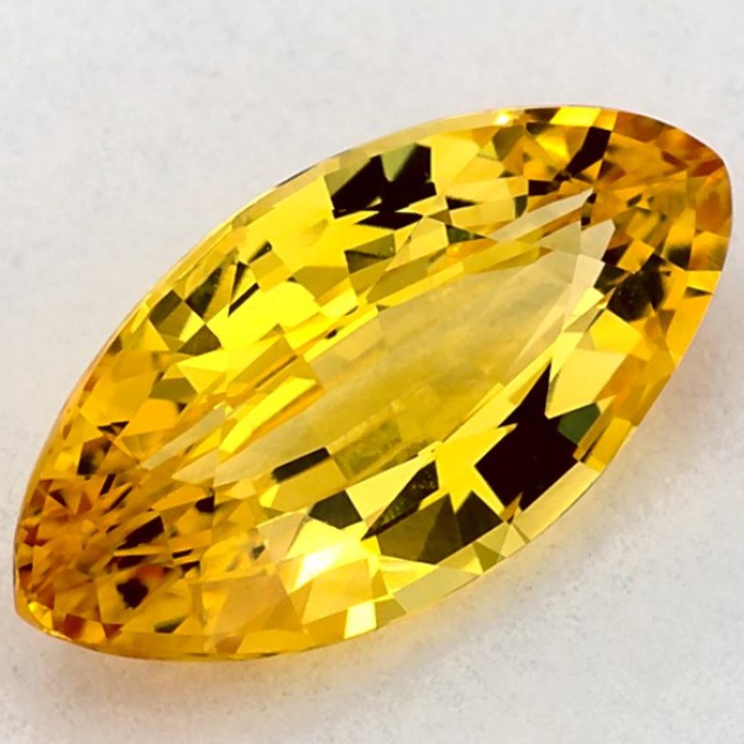1.71 Karat Gelber Saphir Marquise Loser Edelstein (Marquiseschliff) im Angebot