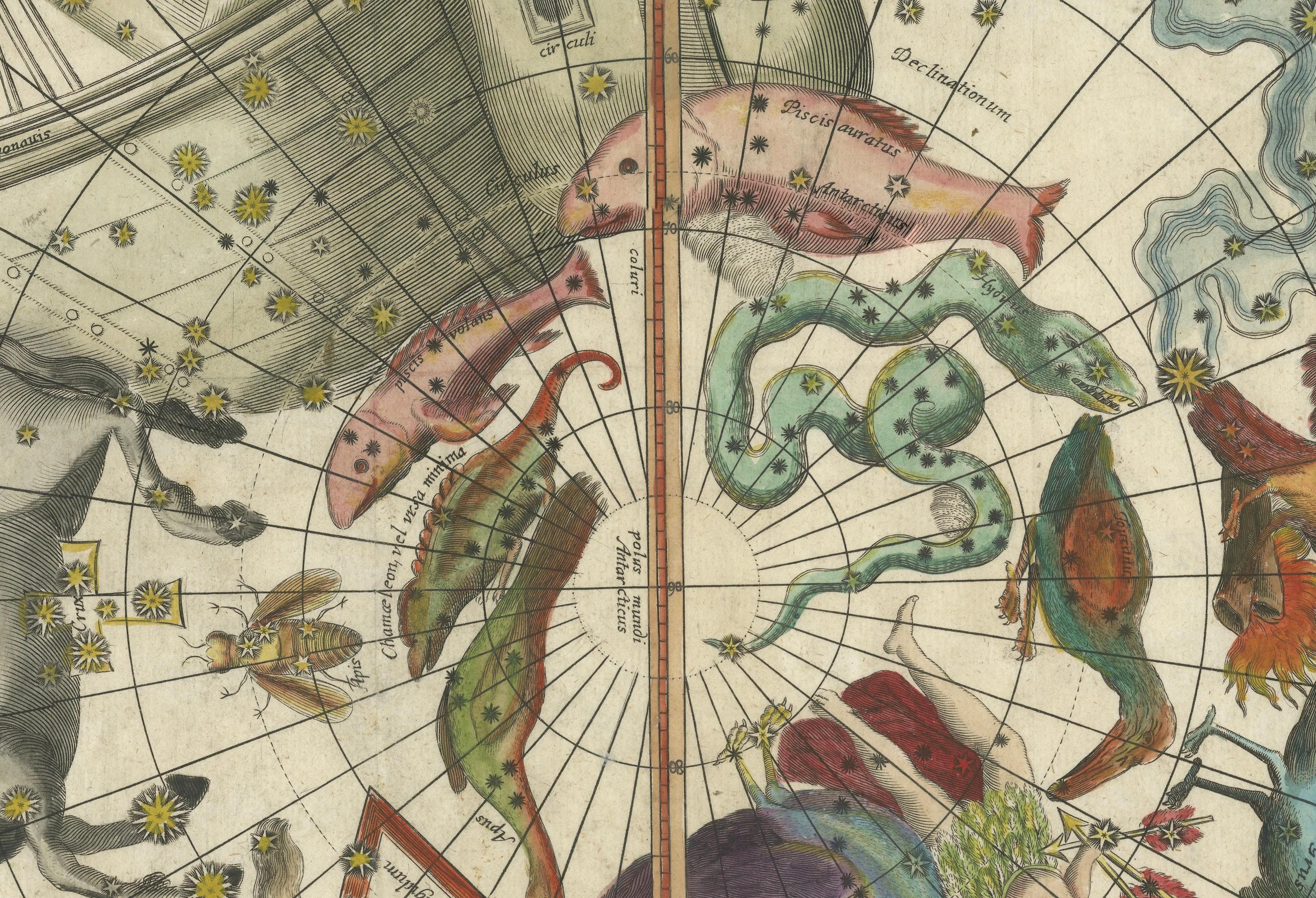 Carte du ciel du Sud avec constellations mythiques et animaux exotiques, 1711 Bon état - En vente à Langweer, NL
