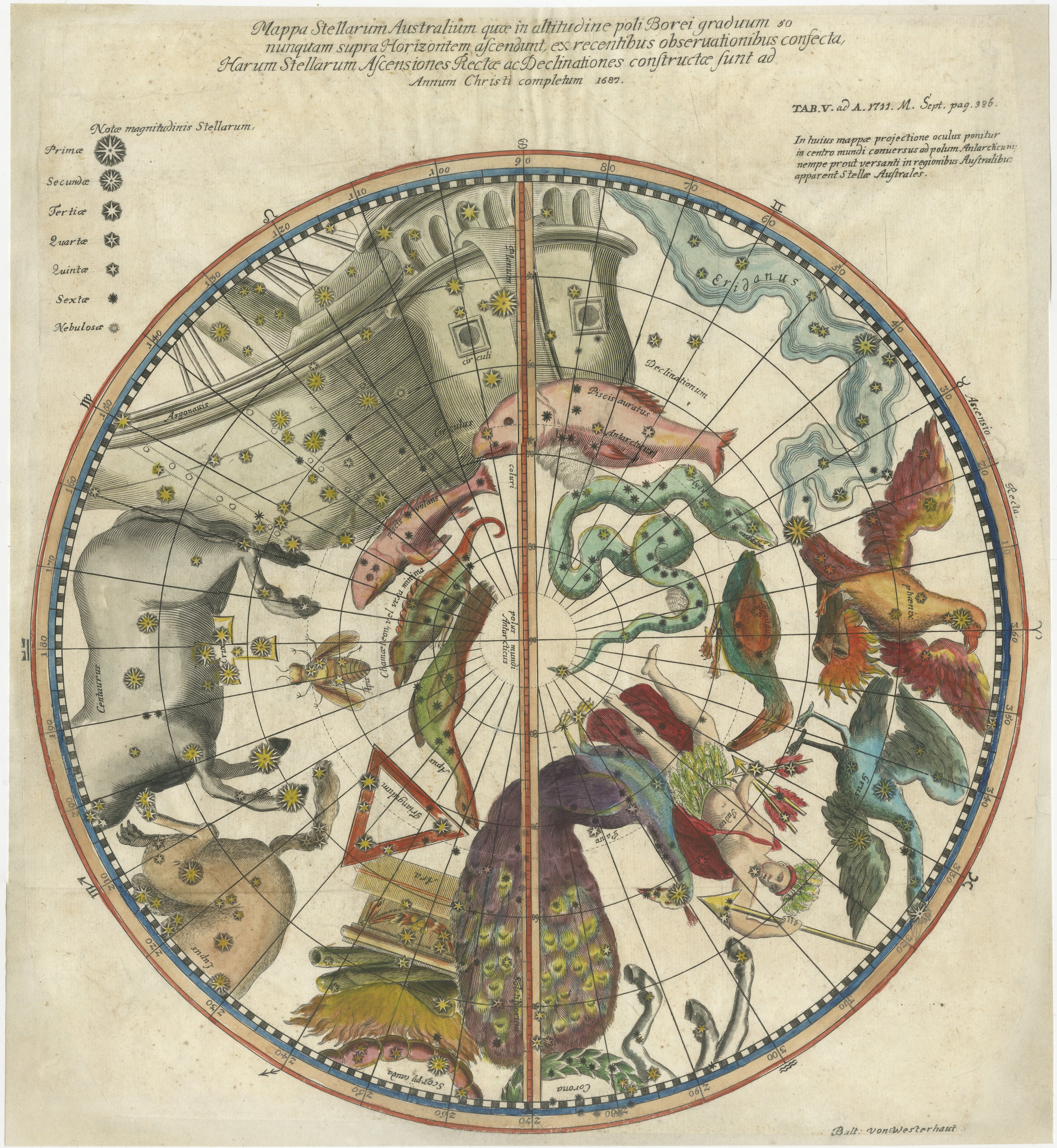 1711 Star Chart of Southern Sky with Mythical Constellations and Exotic Animals