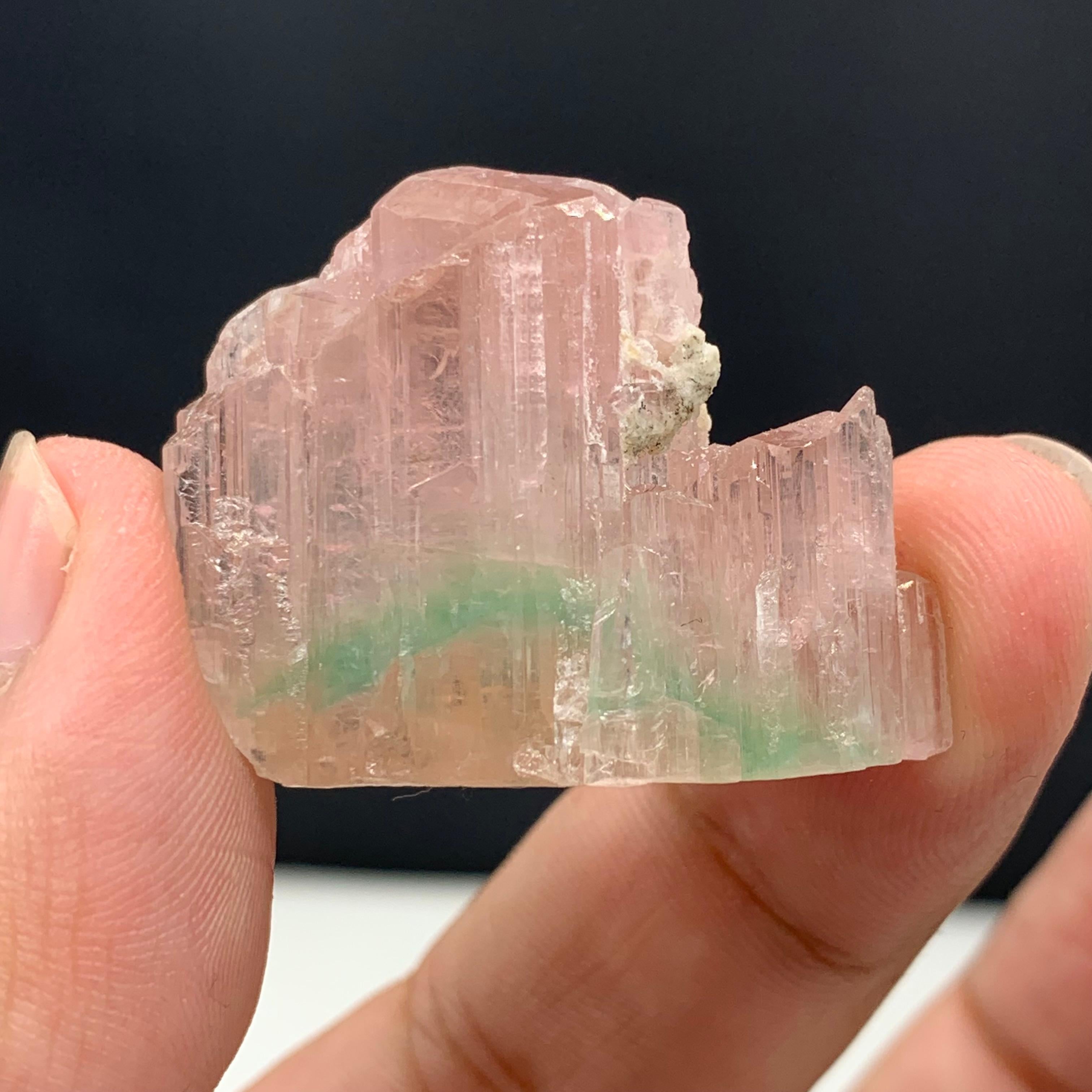 17,16 grammi di grazioso cristallo di tormalina tricolore di Paprok, Afghanistan in vendita 2