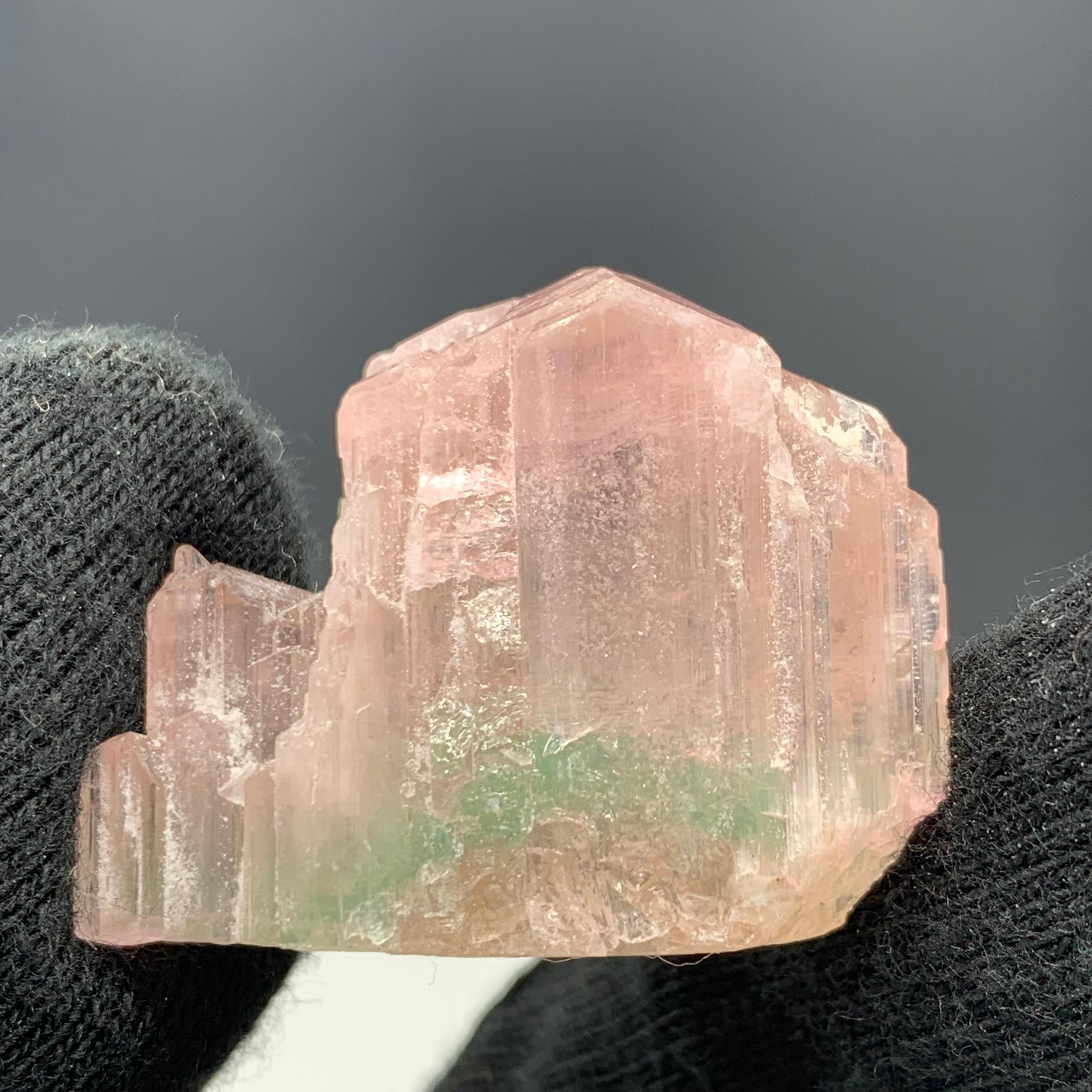 17,16 grammi di grazioso cristallo di tormalina tricolore di Paprok, Afghanistan 

Peso: 17,16 grammi
Dimensioni: 2,6 x 3,3 x 1,3 cm
Origine: Paprok, provincia di Nooristan, Afghanistan 

La tormalina è un minerale cristallino del gruppo dei