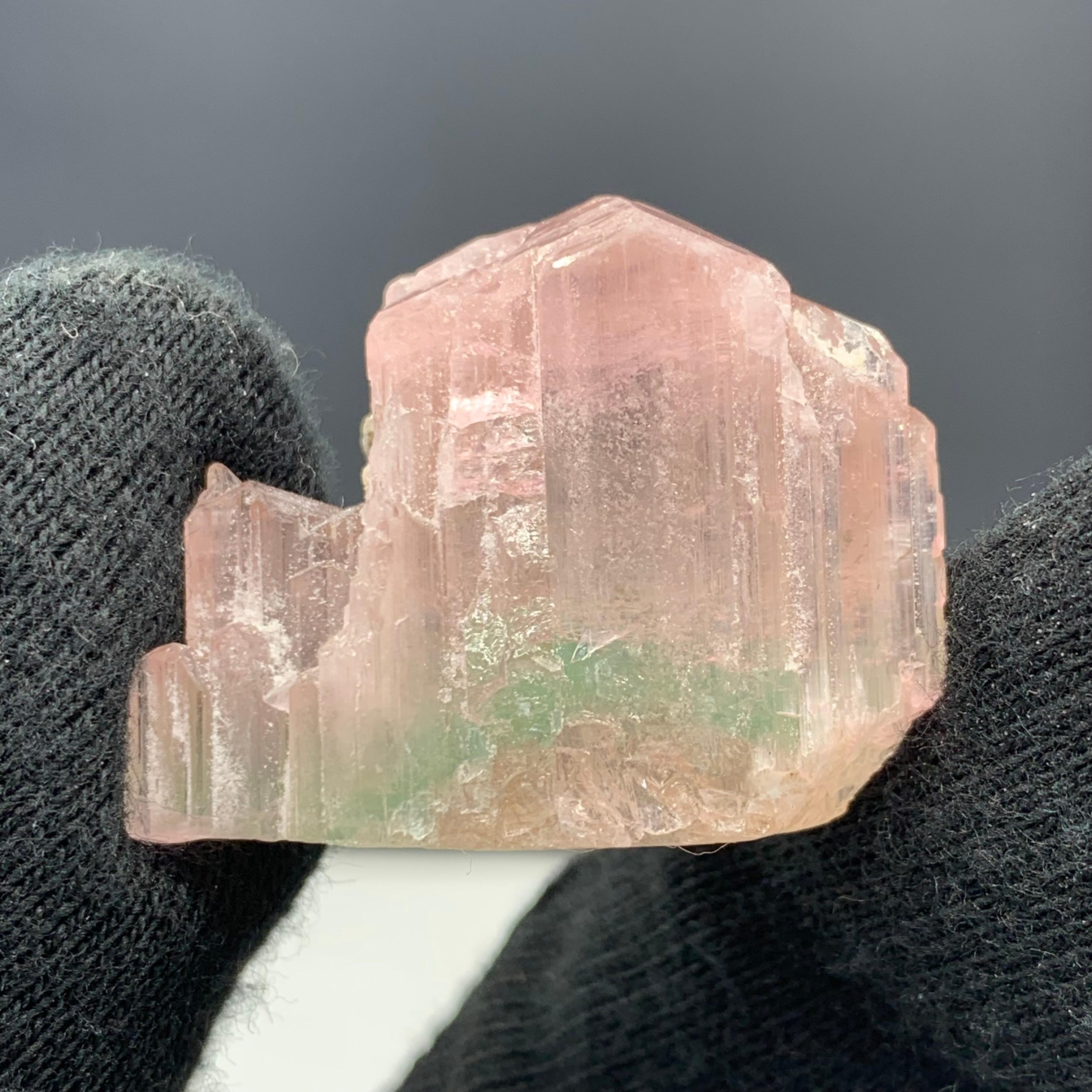 Stile Adam 17,16 grammi di grazioso cristallo di tormalina tricolore di Paprok, Afghanistan in vendita