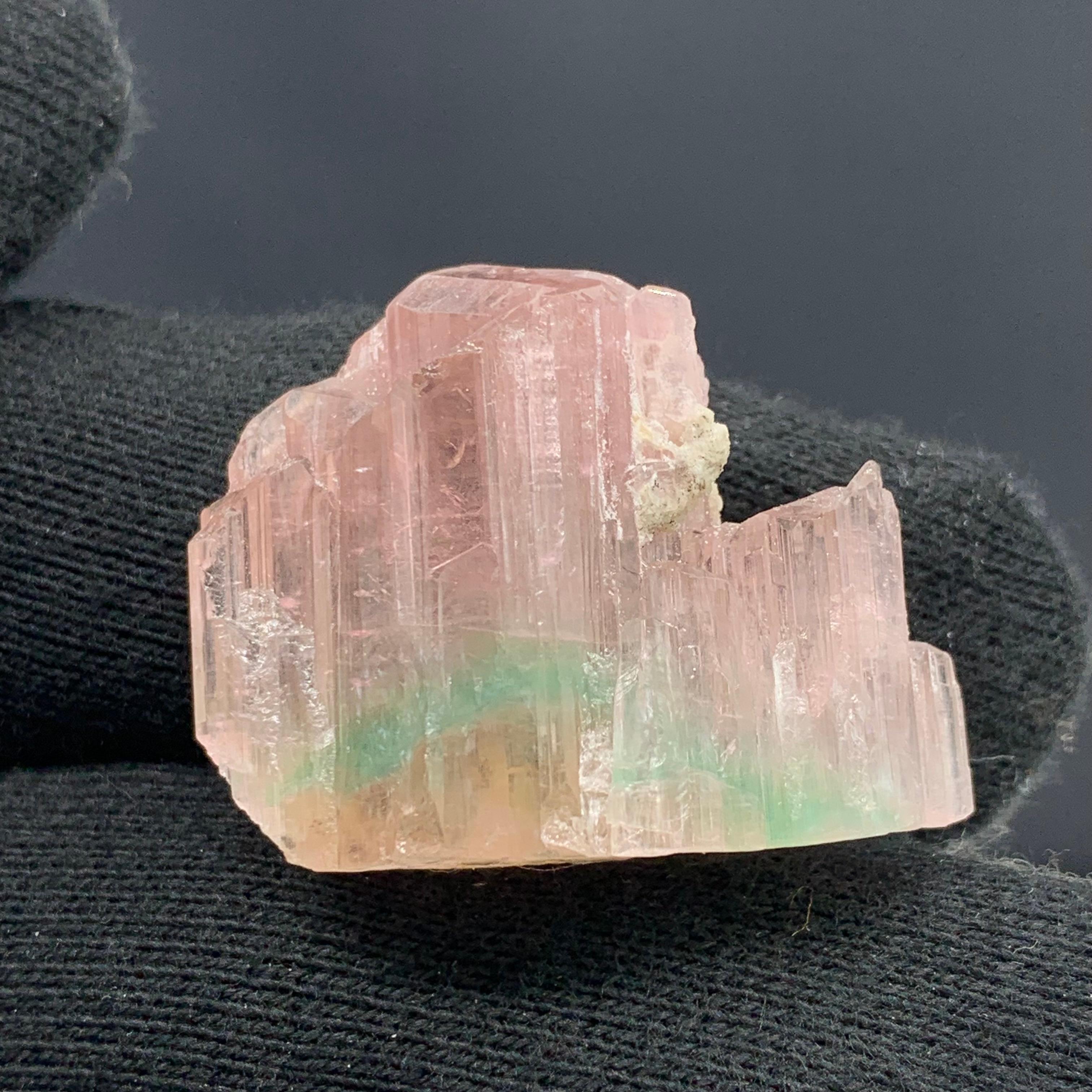 Altro 17,16 grammi di grazioso cristallo di tormalina tricolore di Paprok, Afghanistan in vendita