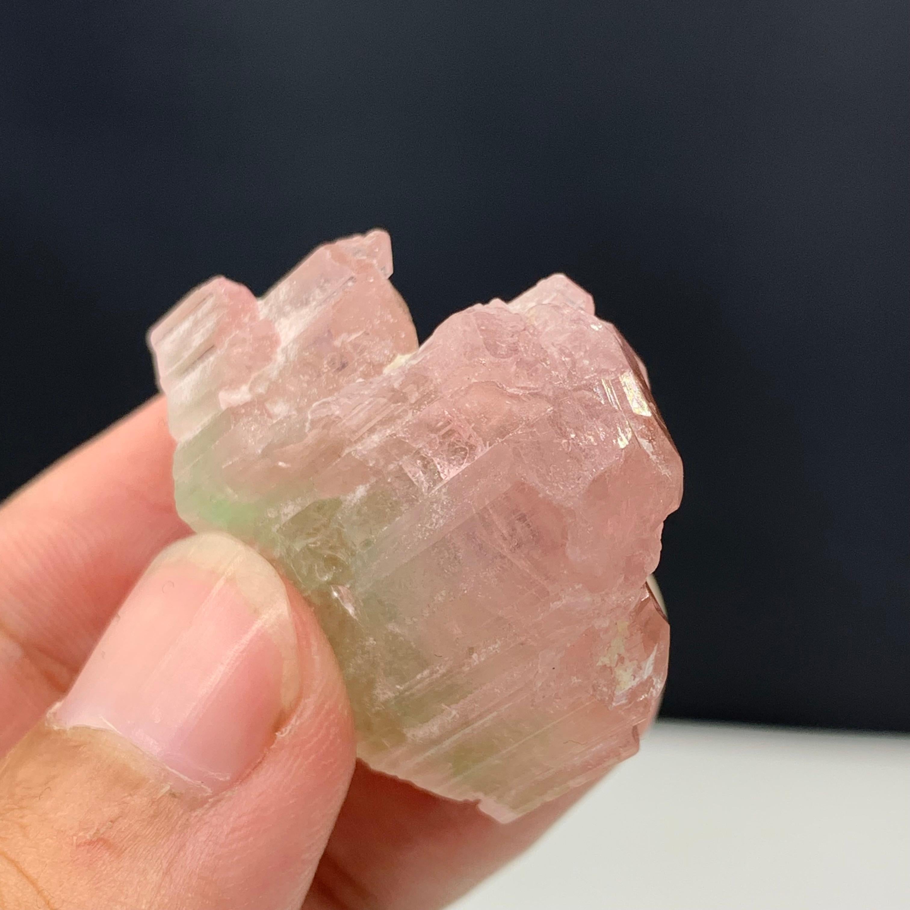 17,16 grammi di grazioso cristallo di tormalina tricolore di Paprok, Afghanistan in vendita 1