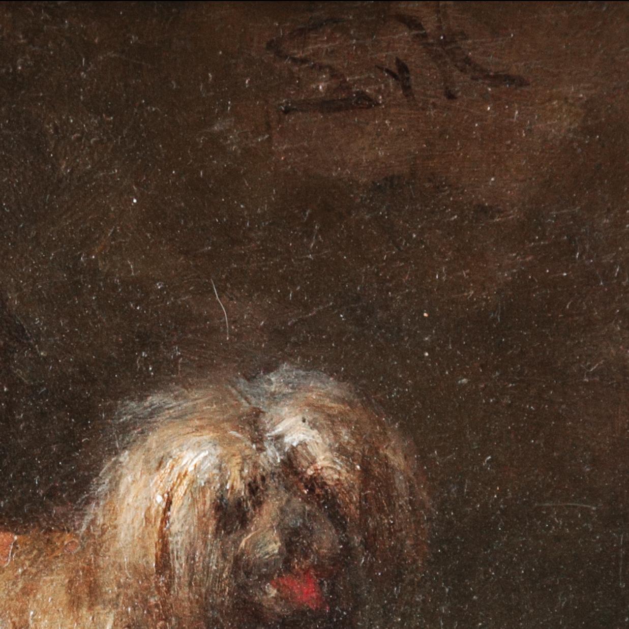 Louis von Hagn, 1819 — 1898
Pair of genre paintings with cat and dog playing depicted with oil on Hanvana’s wooden lit panel by the famous German genre scene painter Ludwig von Hagn, from Münchem, in the middle of 19th century. 
The two paints size