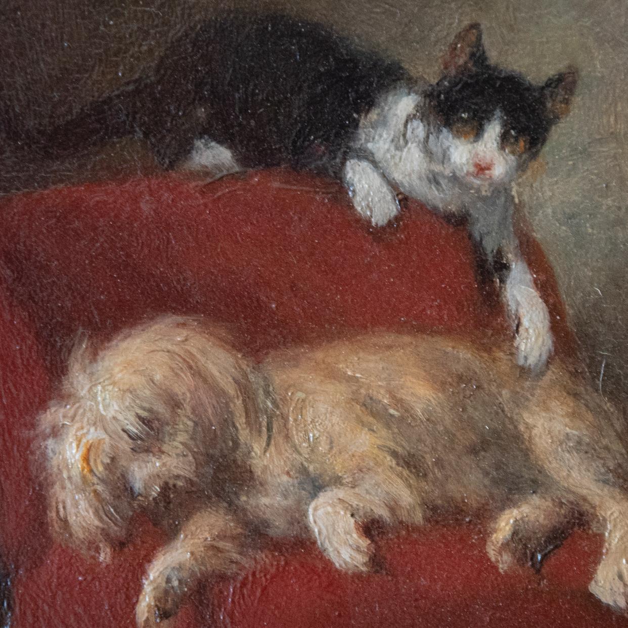 Genre scene Pair of paintings with Cat and Dog Playing 2