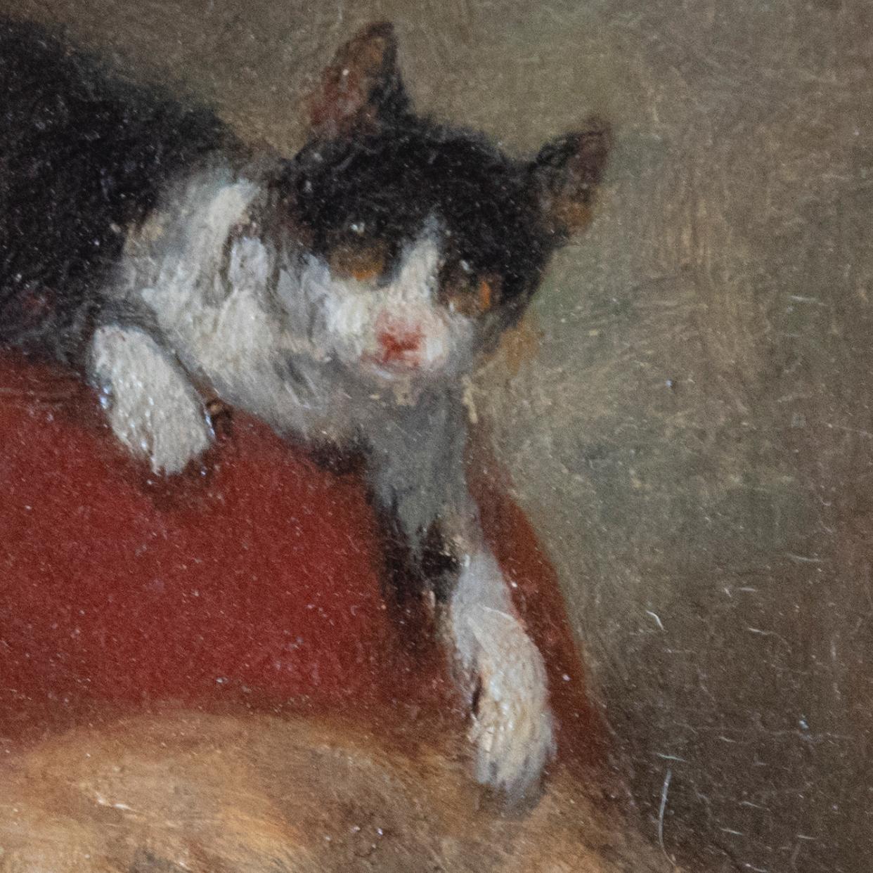 Genre scene Pair of paintings with Cat and Dog Playing 3