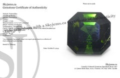 1.71ct Asscher Cut/Square Green Tourmaline