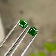1.72 carats Green Demantoid Garnet Pair Asscher Cut Pakistani Gemstone