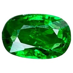 1.72 Karat Grüner Tsavorit Granat Stein Ovalschliff Kenia Edelstein