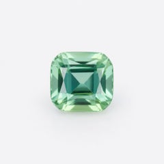 1.72 cts, Faceted mint green tourmaline