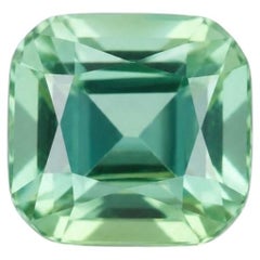 1.72 cts, Faceted mint green tourmaline