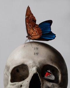 "Skull & Butterfly" Original Fine Art Print Edition of 5 by Mario Kroes