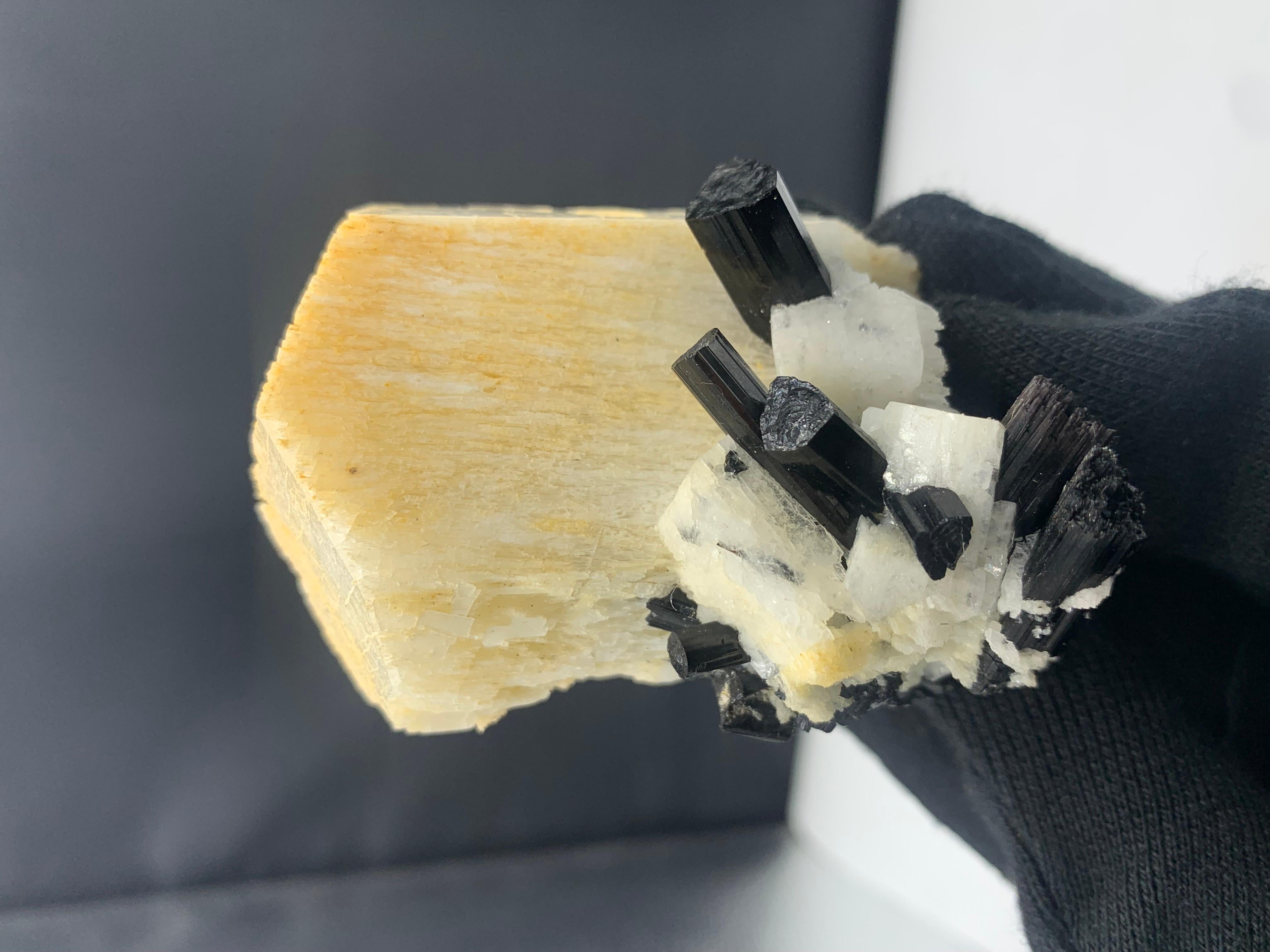Pakistanais Spécimen Feldspar de 172,35 grammes attaché avec des cristaux noirs en forme de spirale du Pakistan en vente