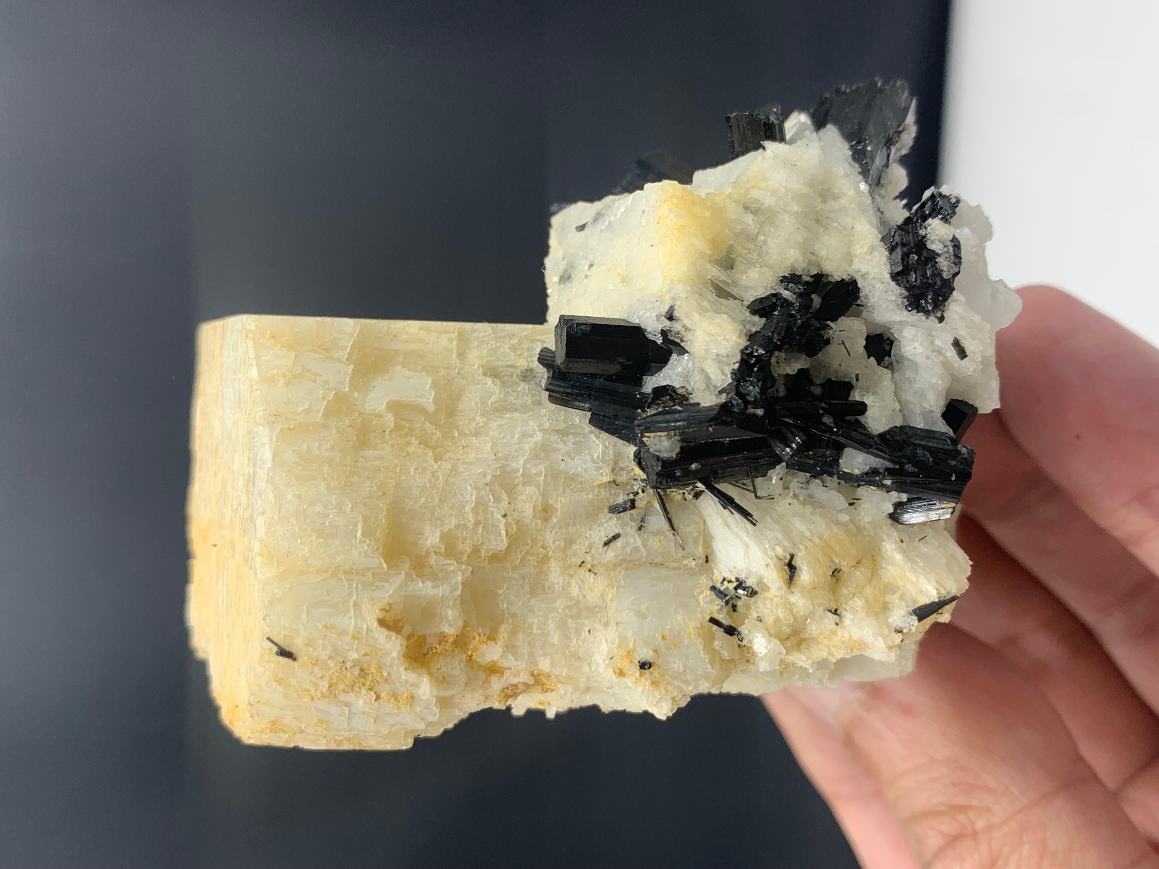 Autre Spécimen Feldspar de 172,35 grammes attaché avec des cristaux noirs en forme de spirale du Pakistan en vente