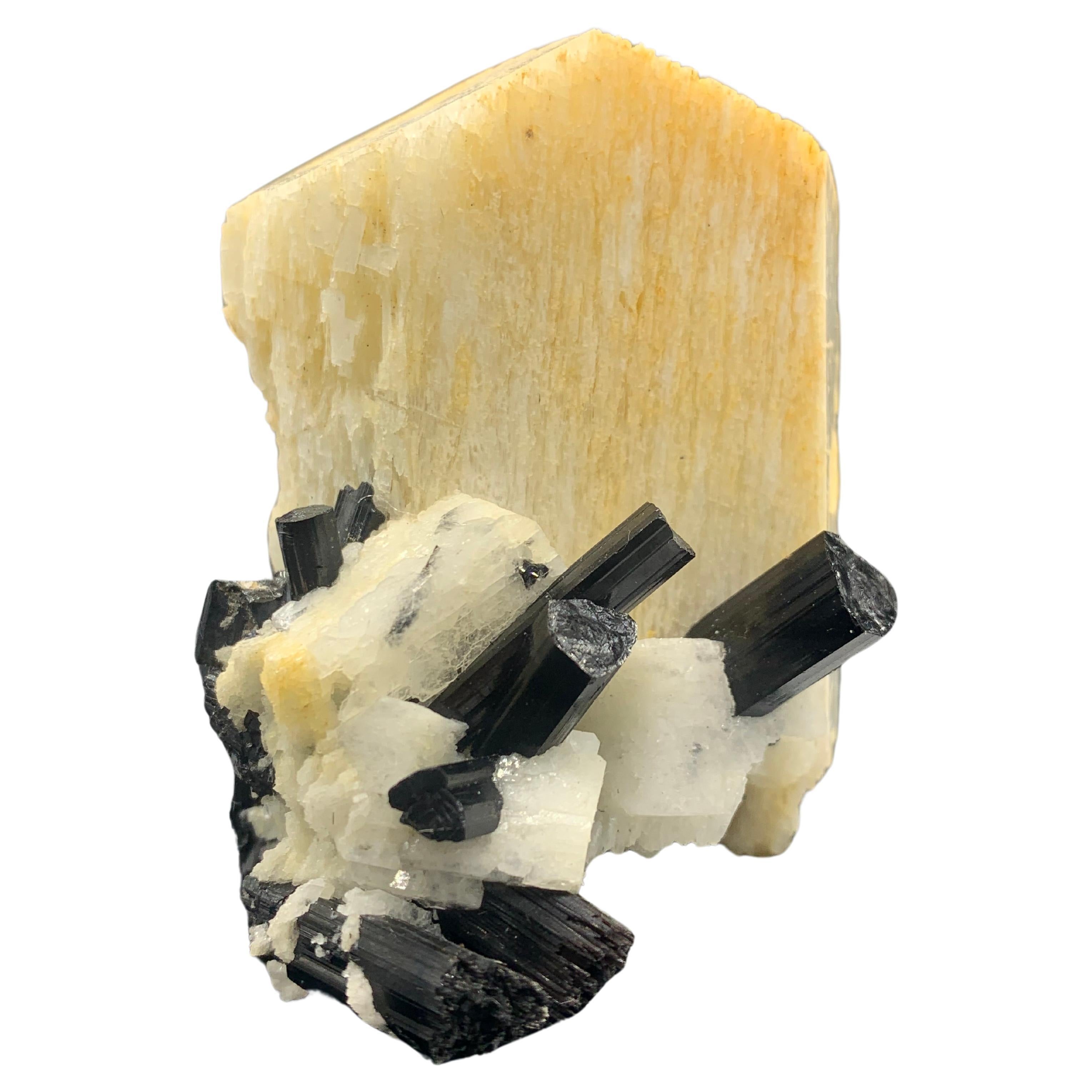 Spécimen Feldspar de 172,35 grammes attaché avec des cristaux noirs en forme de spirale du Pakistan