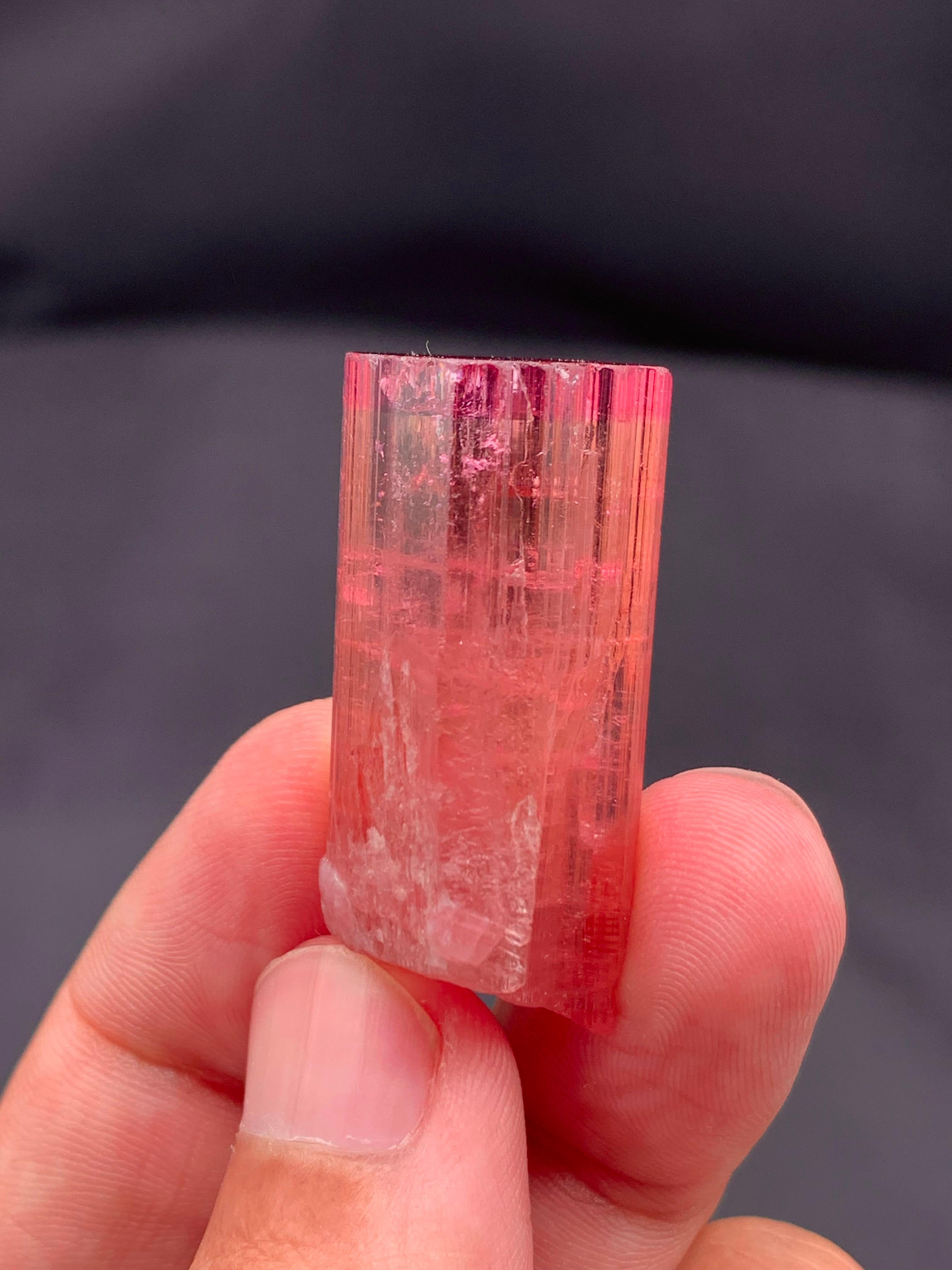 Stile Adam 17,25 grammi di cristalli di tormalina bi-colore da Pachigram, Afghanistan in vendita