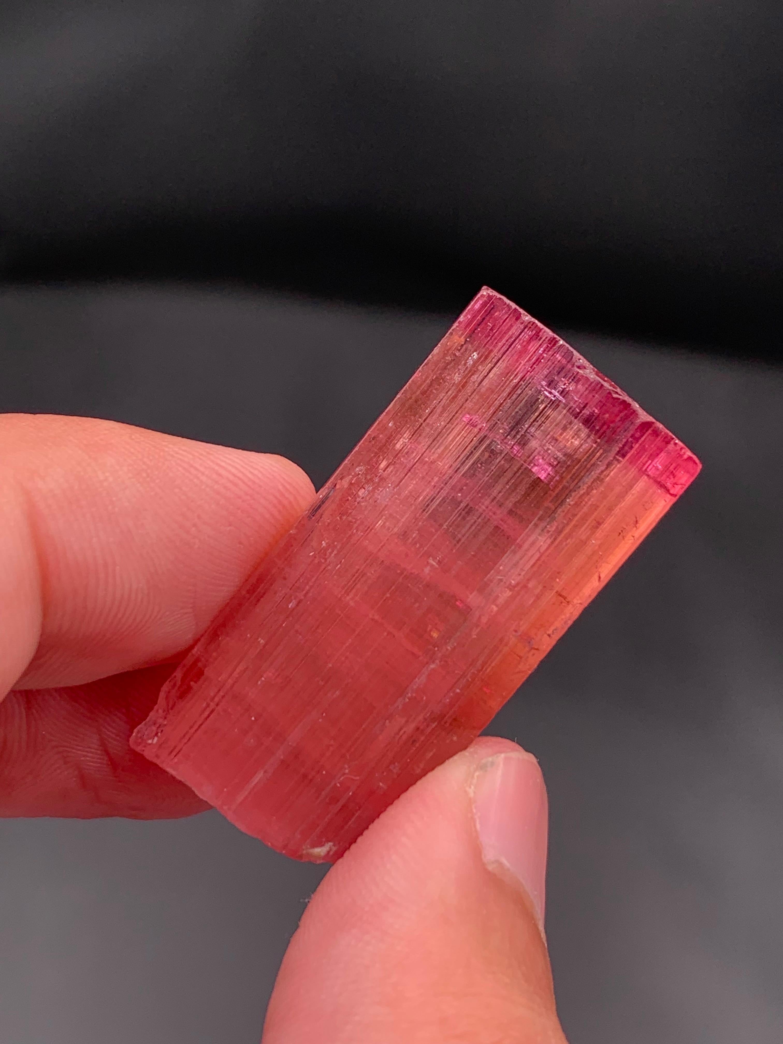 17,25 grammi di cristalli di tormalina bi-colore da Pachigram, Afghanistan In condizioni buone in vendita a Peshawar, PK