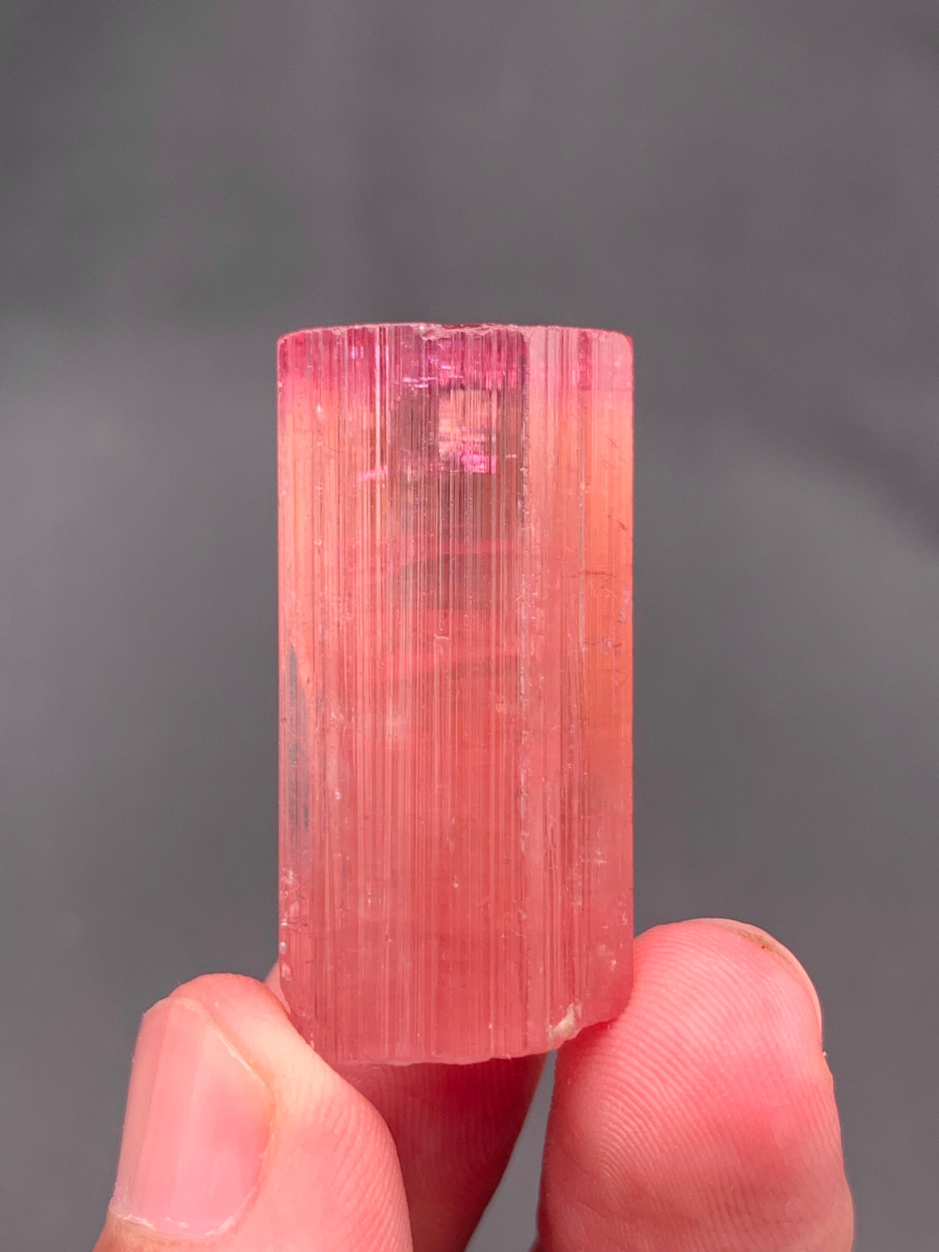 XXI secolo e contemporaneo 17,25 grammi di cristalli di tormalina bi-colore da Pachigram, Afghanistan in vendita