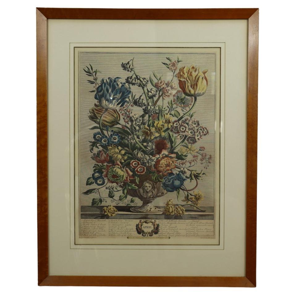 1730 Robert Furber - April Blumenkalender Handkolorierte Radierung von H Fletcher