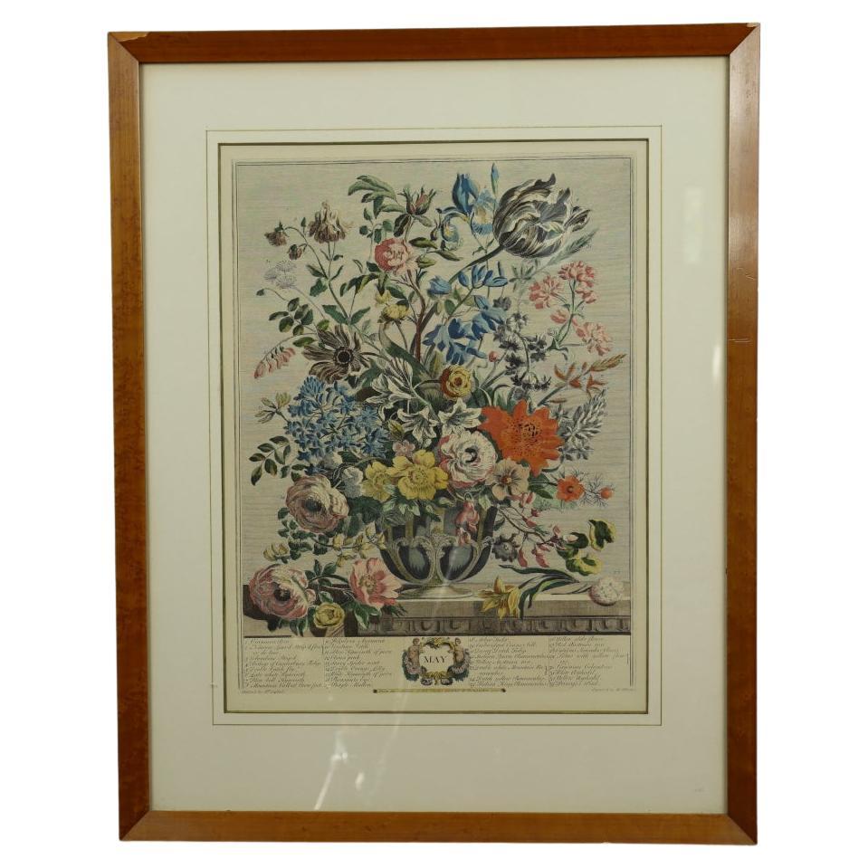 1730 Robert Furber Mai Blumenkalender, handkolorierte Radierung  von H. Fletcher