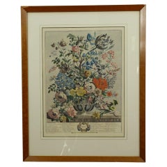 1730 Robert Furber May Floral Calendar Hand Colored Etching  by H. Fletcher