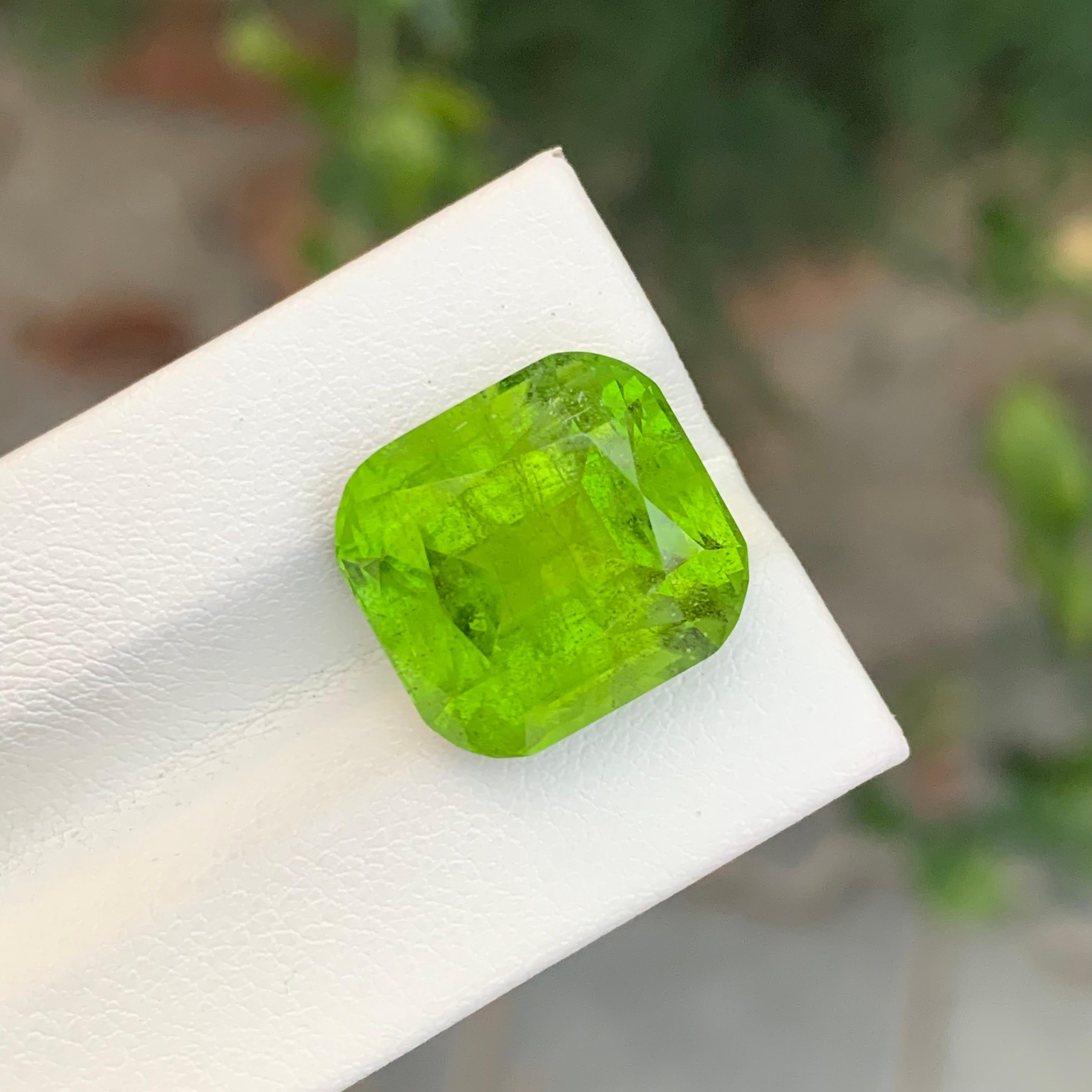 Péridot vert clair-sabre naturel en forme de coussin de 17.35 carats en vente 4