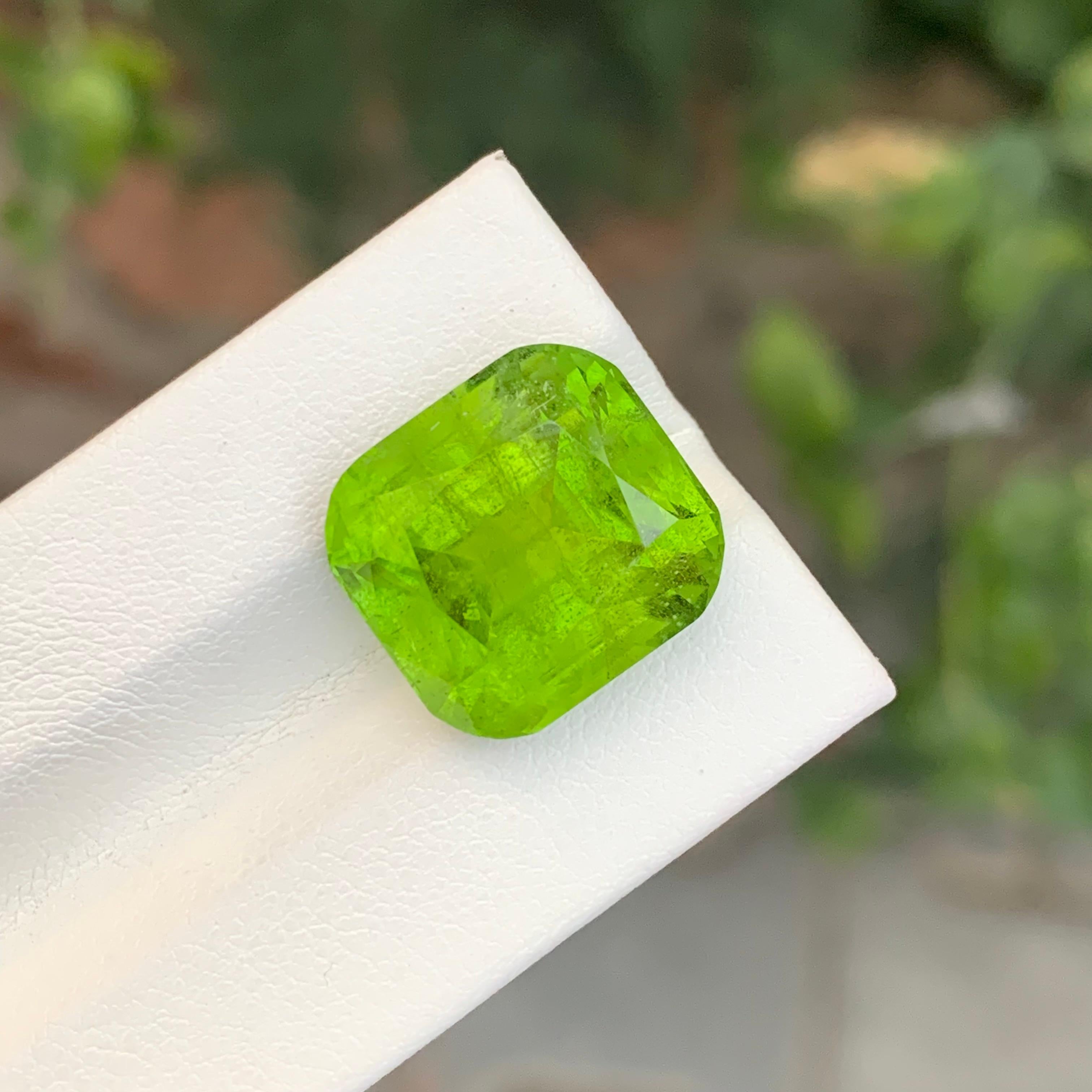 Péridot vert clair-sabre naturel en forme de coussin de 17.35 carats en vente 5