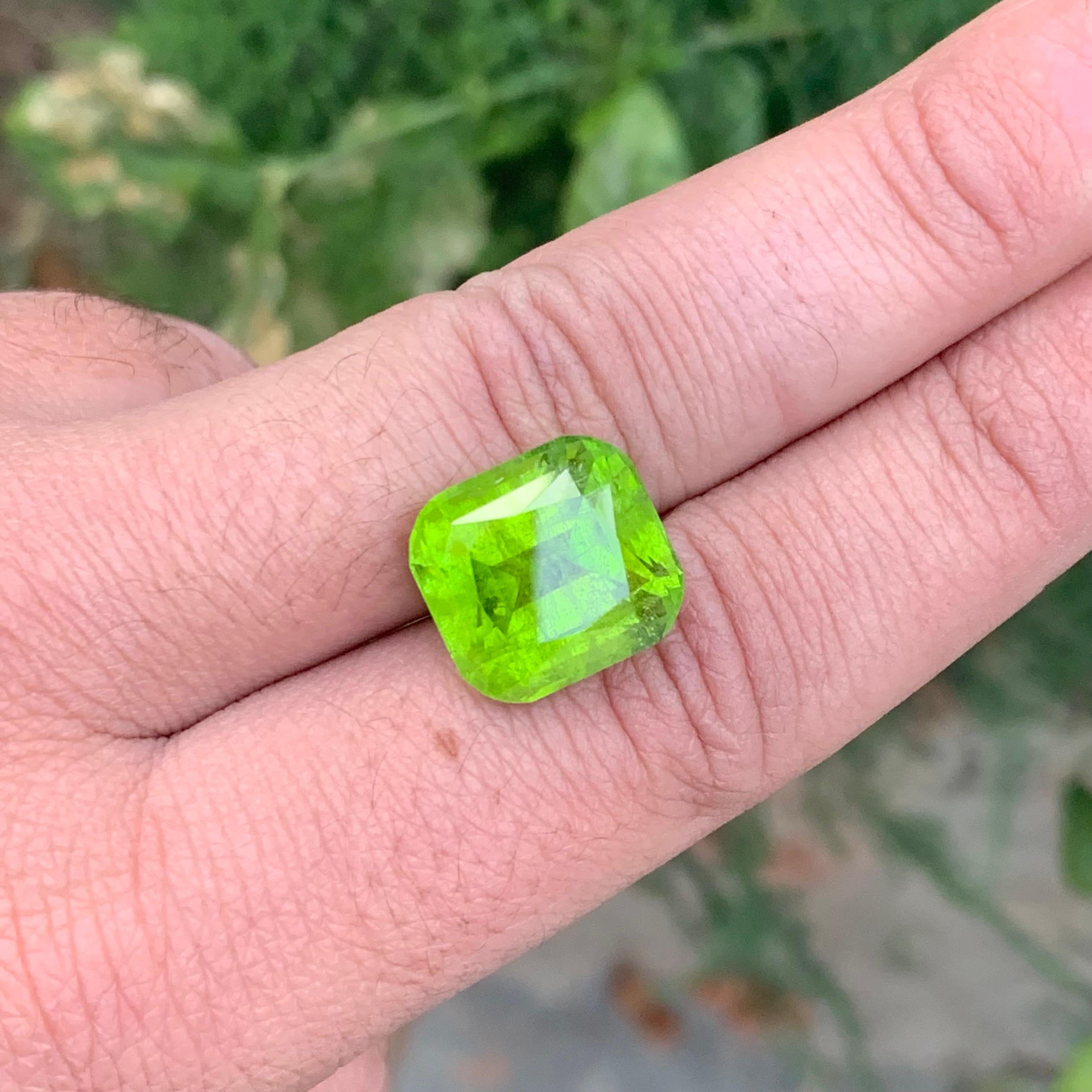 Péridot vert clair-sabre naturel en forme de coussin de 17.35 carats en vente 3