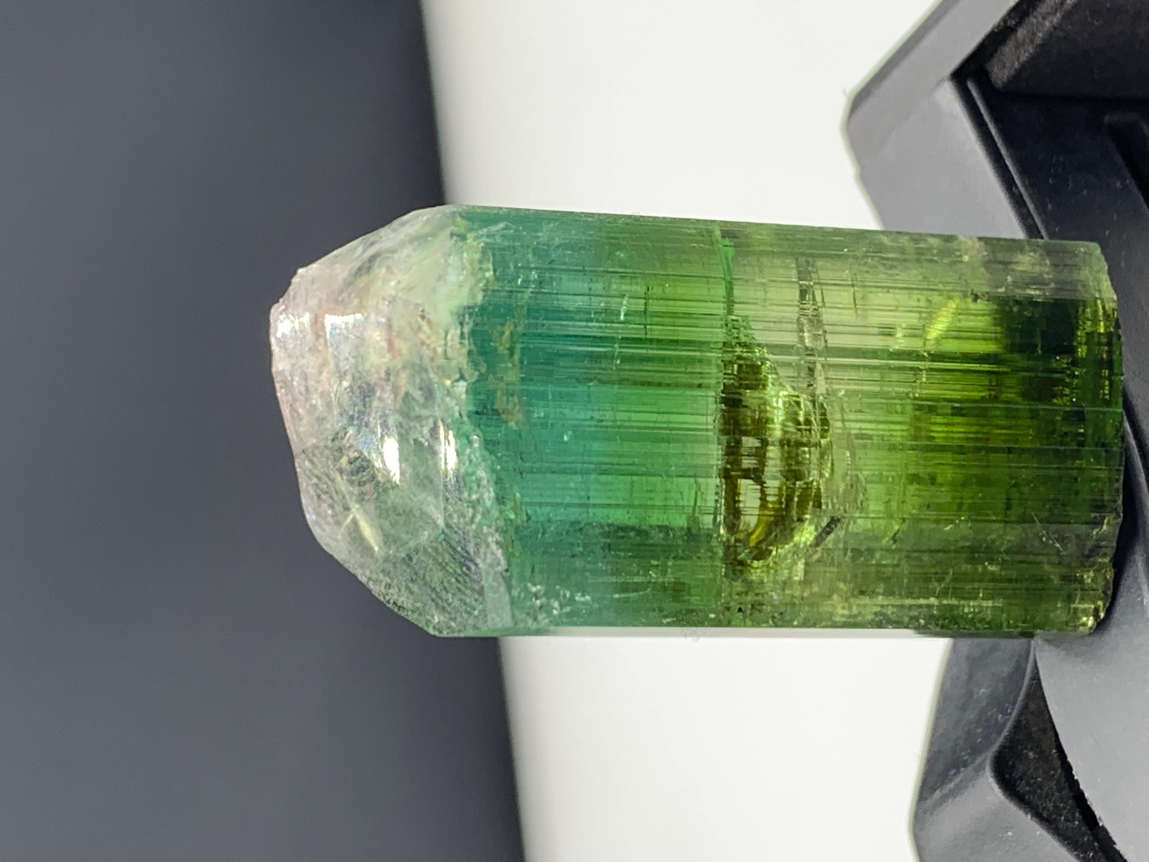 17,40 grammi di grazioso cristallo di tormalina bicolore da Kunar, Afghanistan in vendita 2