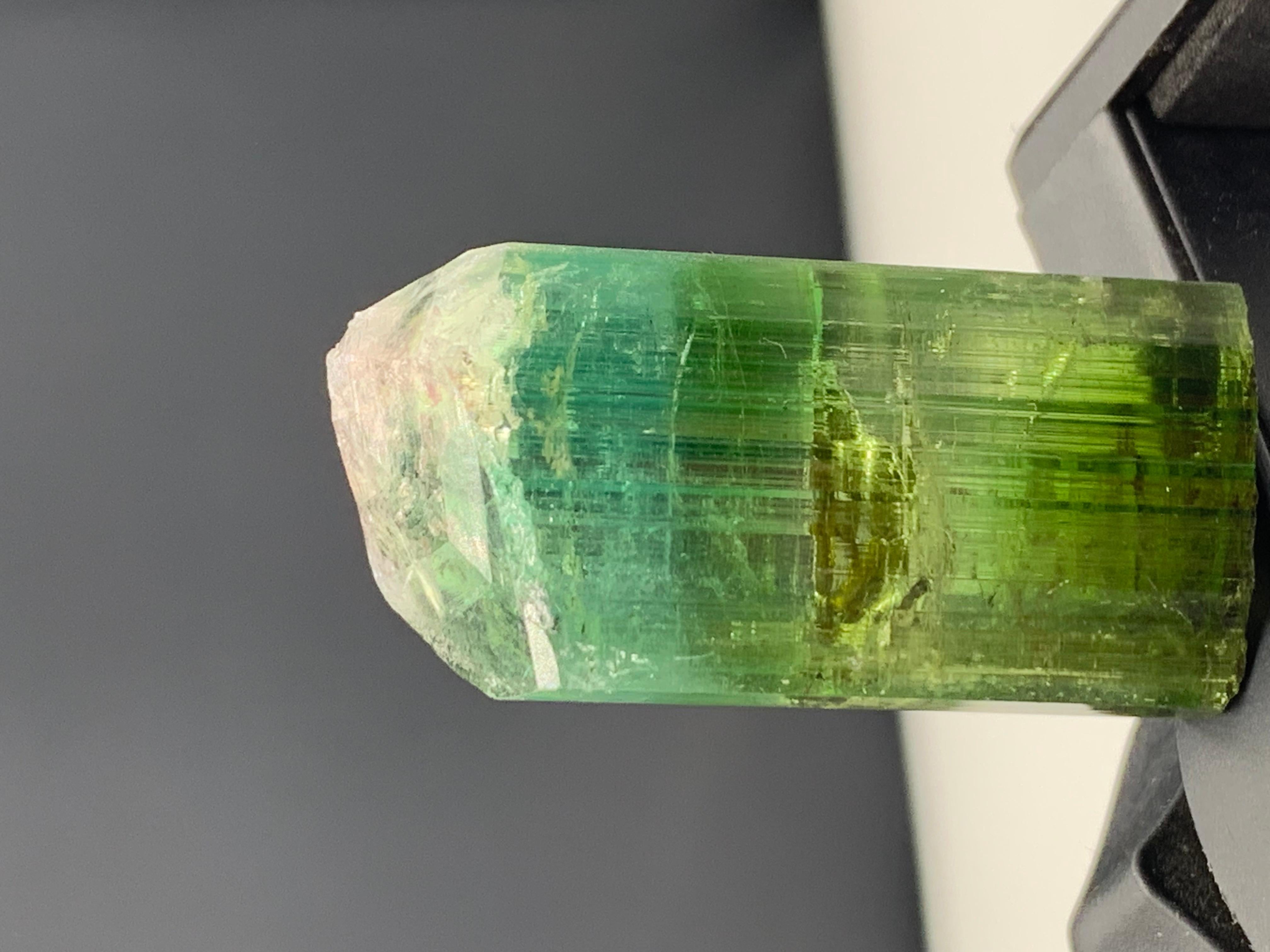 17,40 grammi di grazioso cristallo di tormalina bicolore da Kunar, Afghanistan in vendita 3