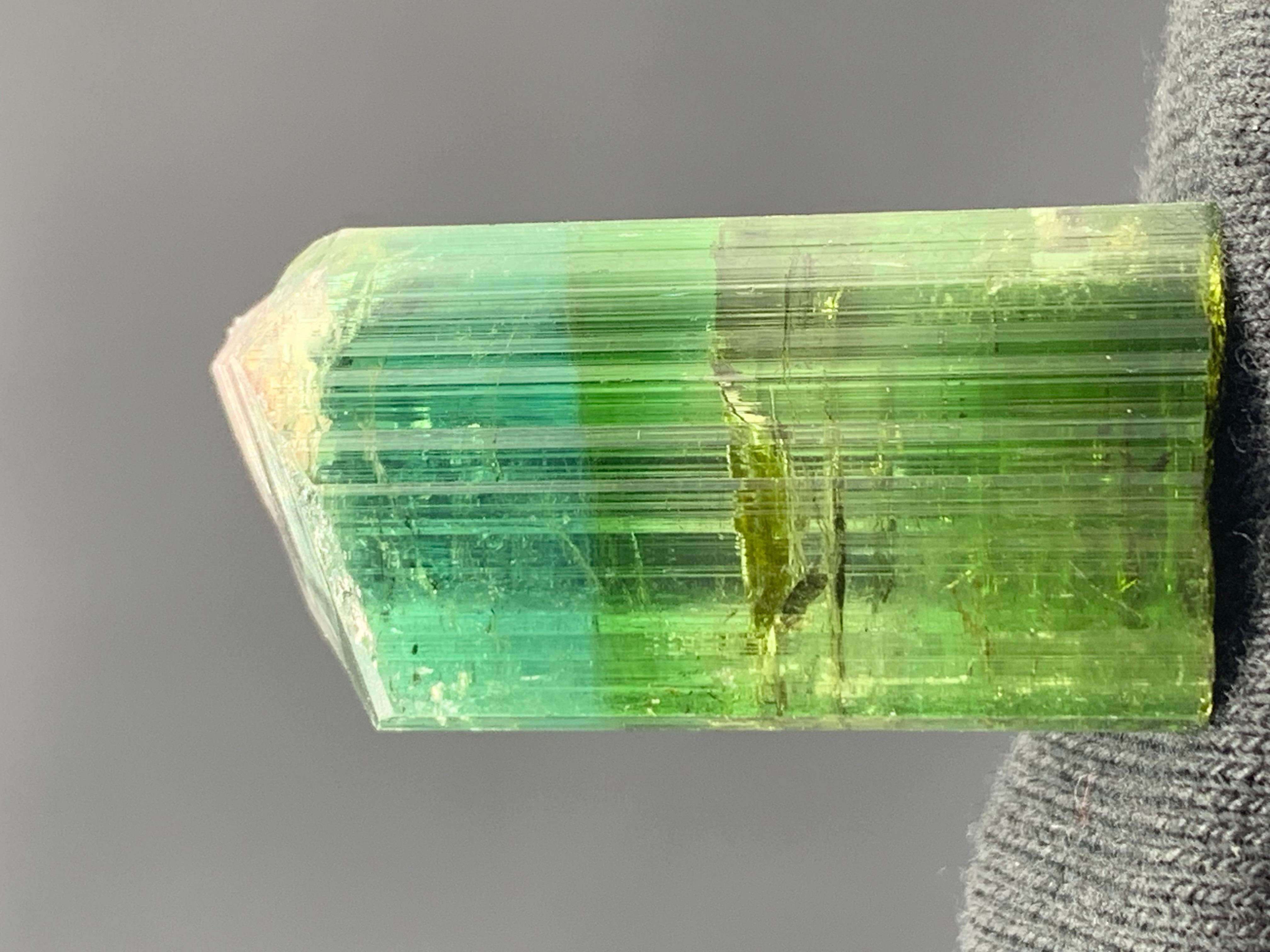 17,40 grammi di grazioso cristallo di tormalina bicolore da Kunar, Afghanistan in vendita 4