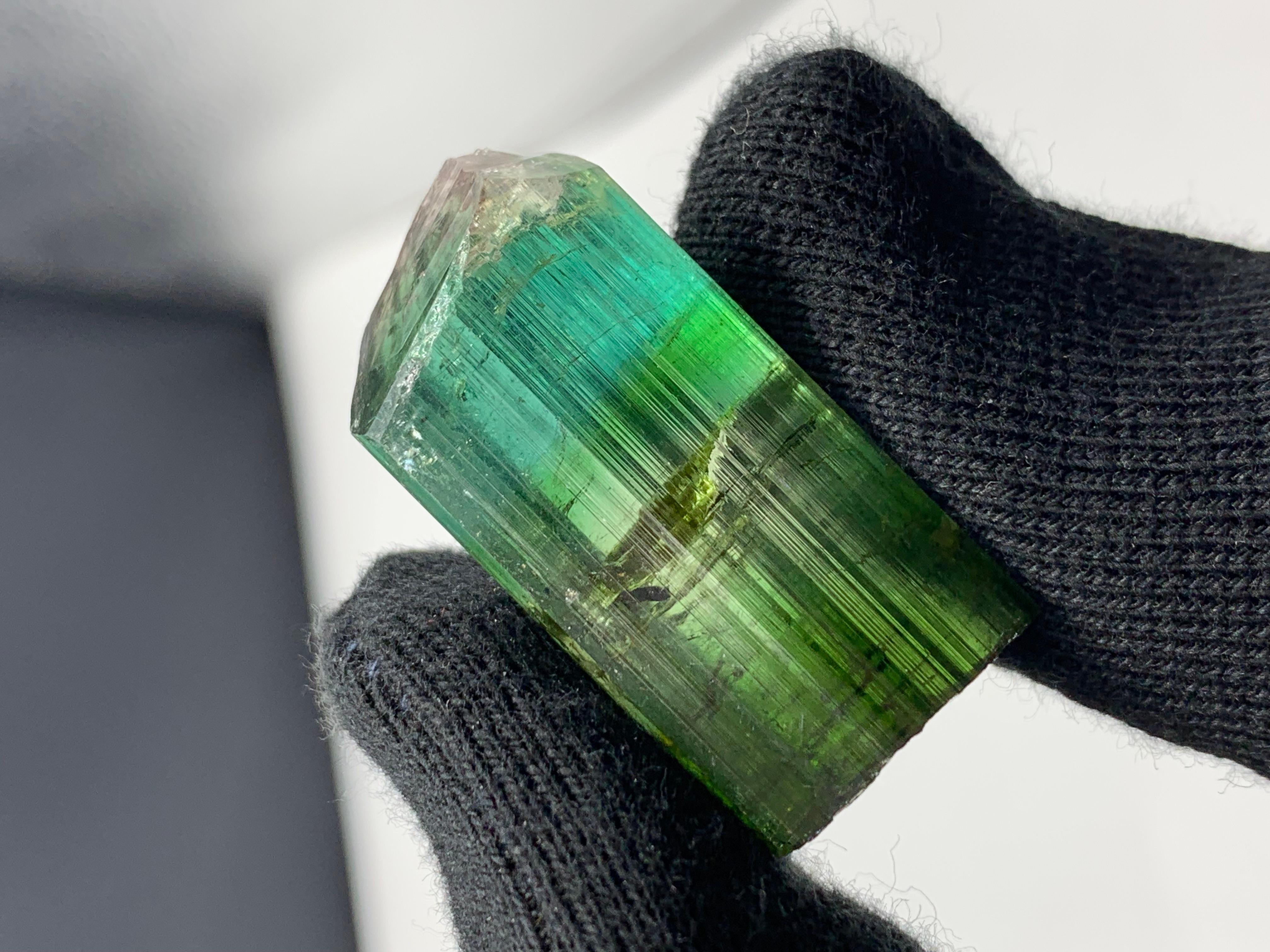 17,40 grammi di grazioso cristallo di tormalina bicolore da Kunar, Afghanistan in vendita 7